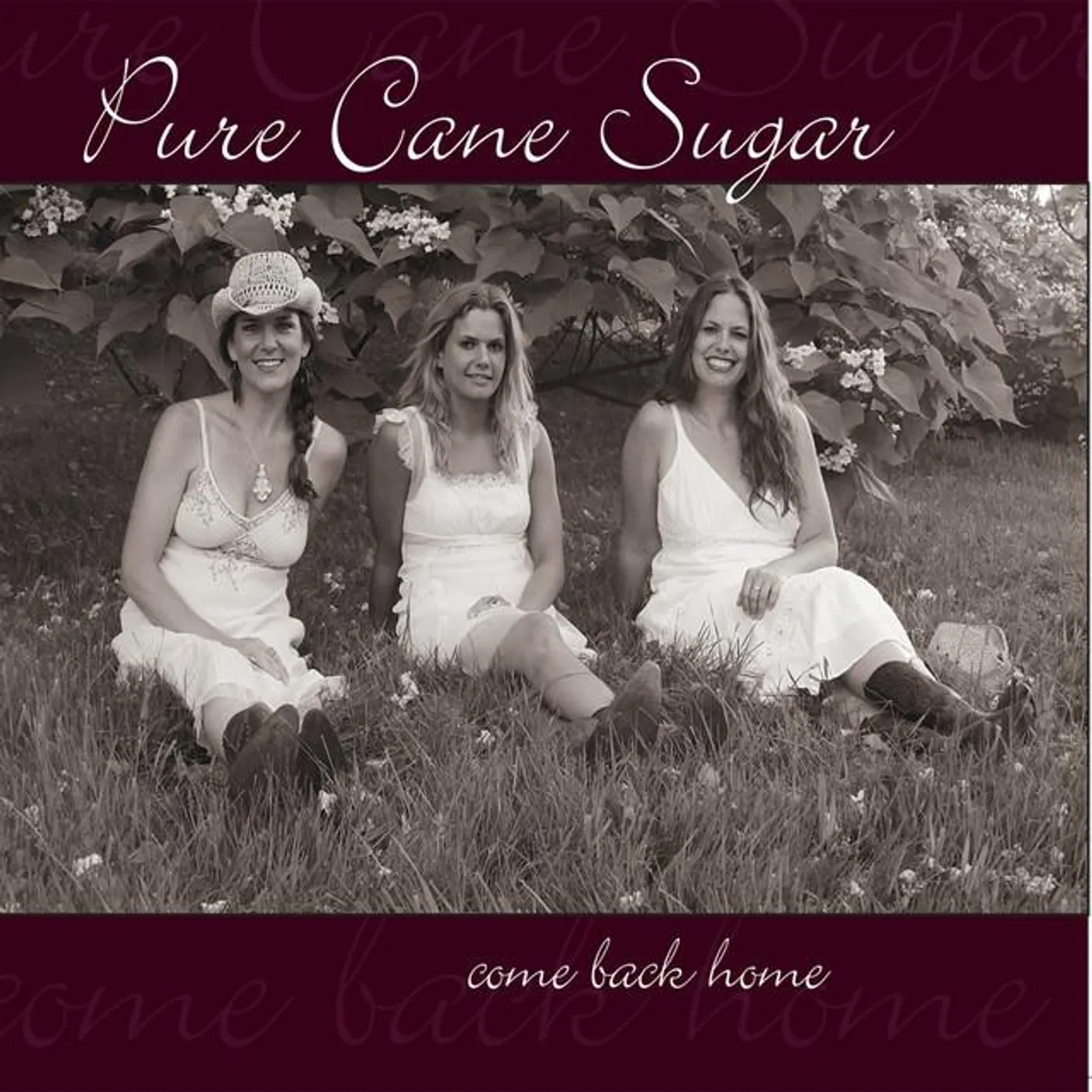 Pure Cane Sugar