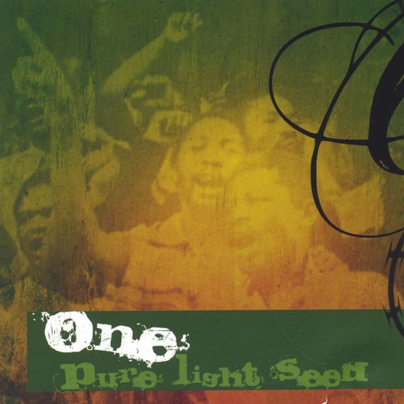 Pure Light Seed Brand Page