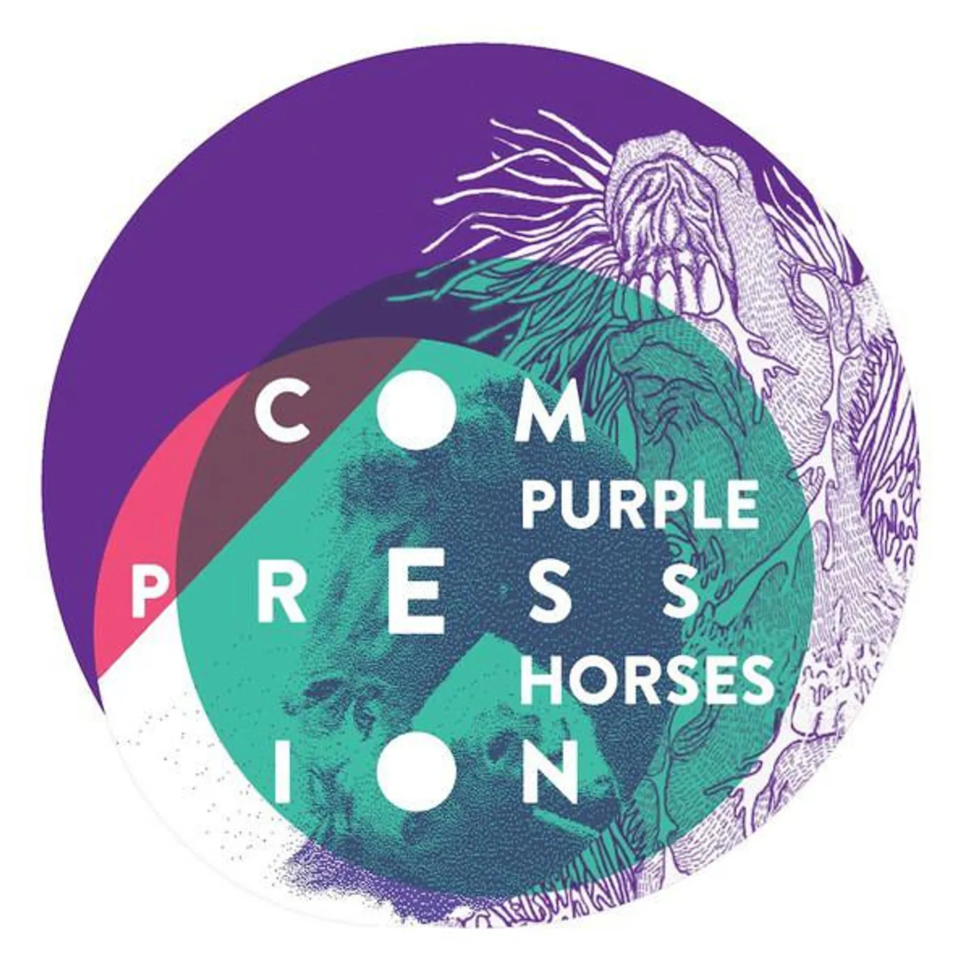 Purple Horses