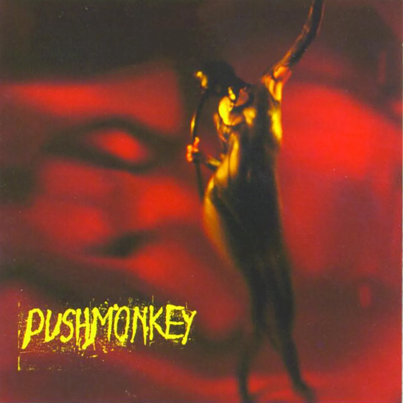 Pushmonkey Brand Page