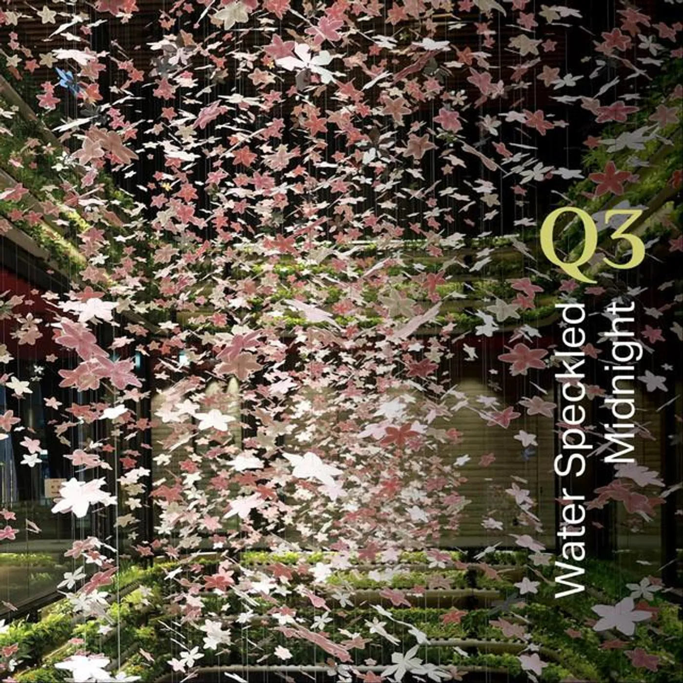 Q3