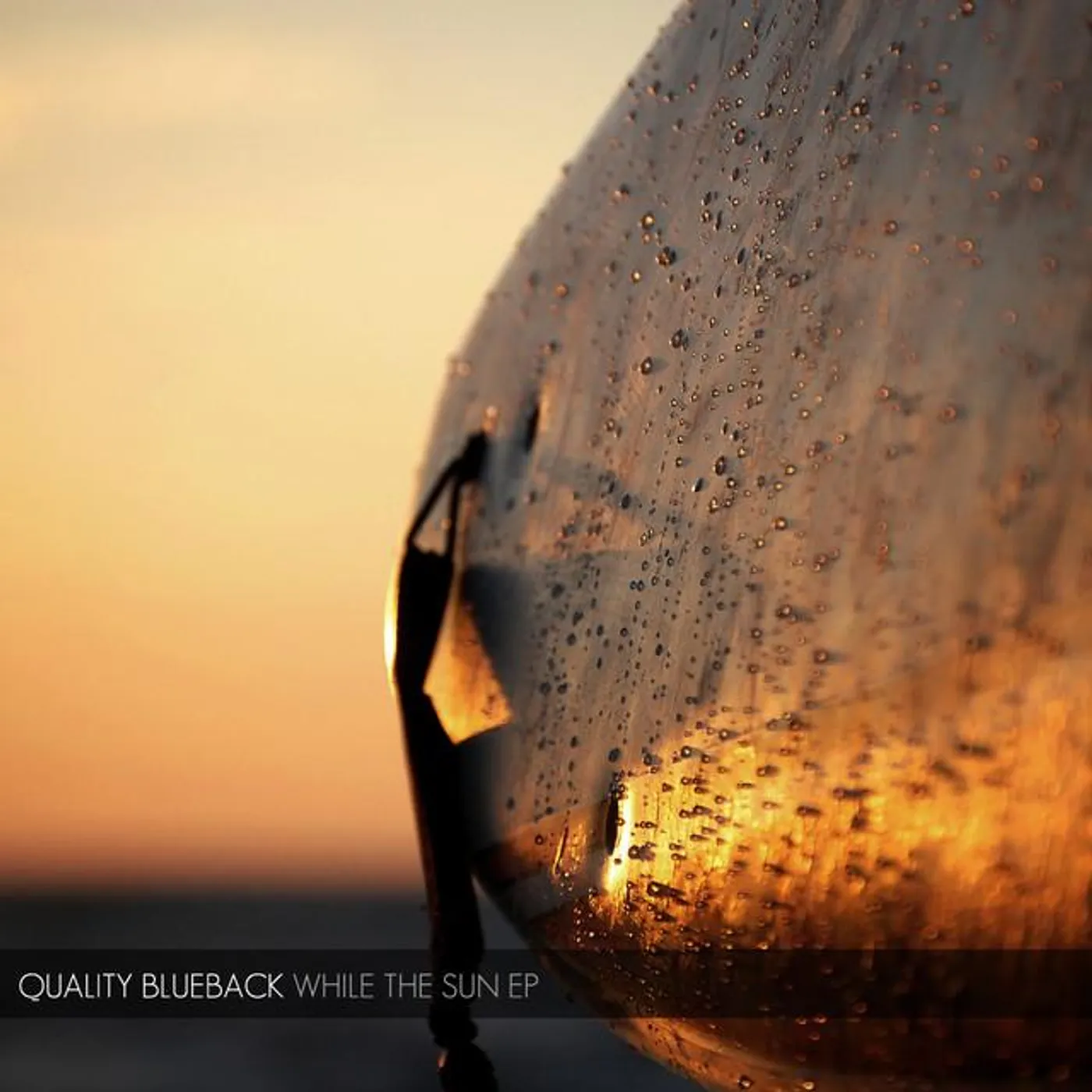 Quality Blueback Brand Page