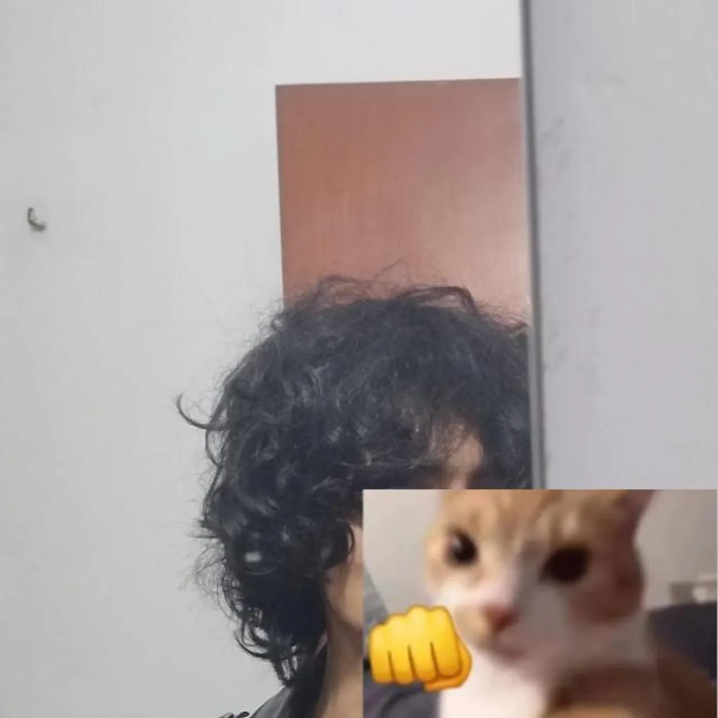 rü