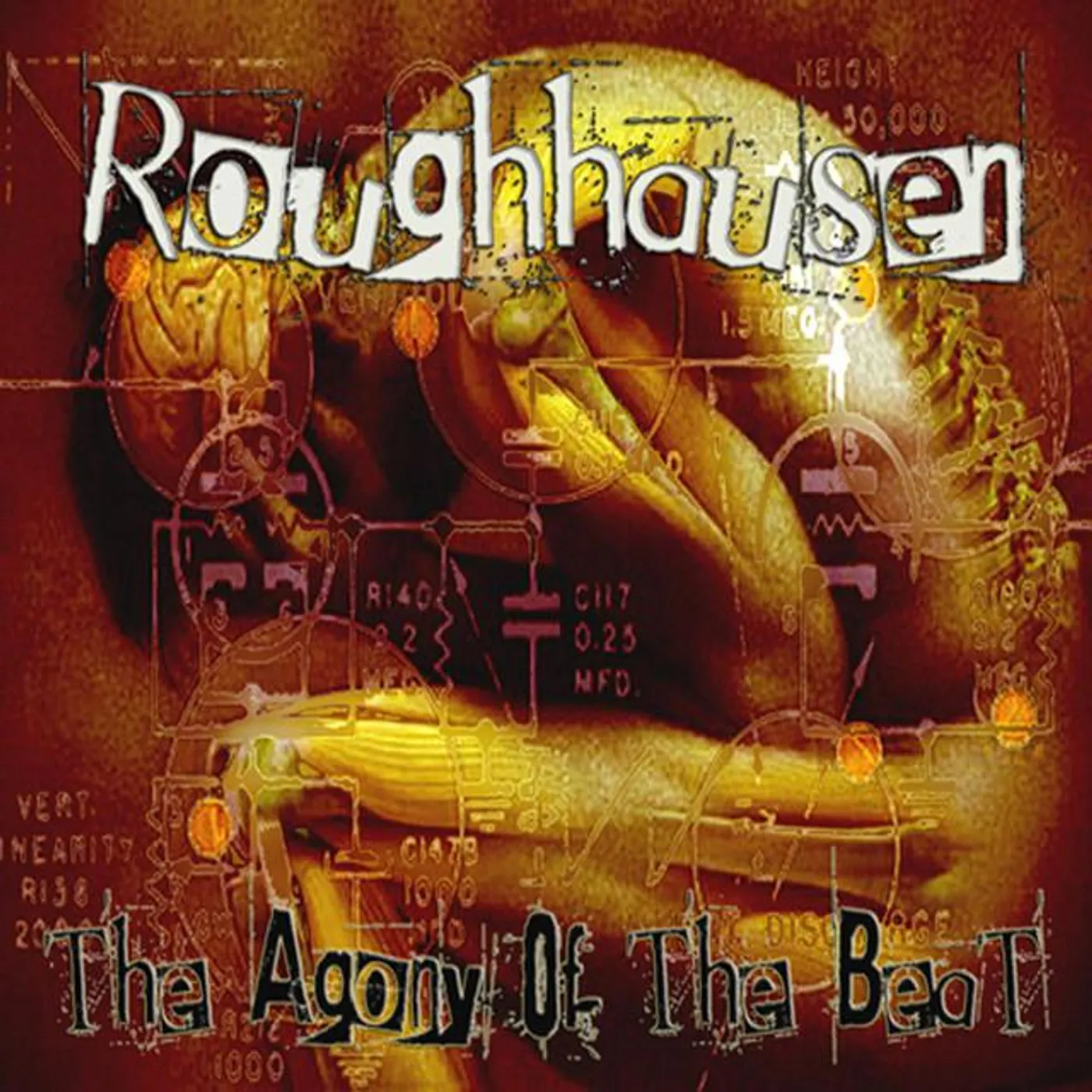 Roughhausen