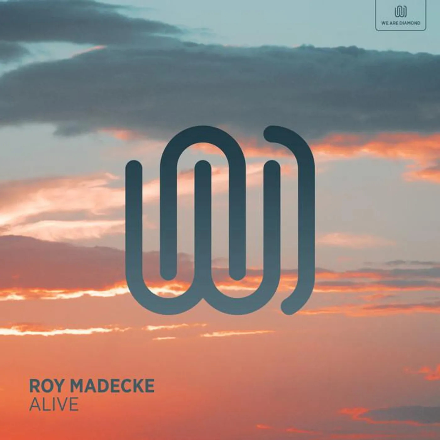 Roy Madecke