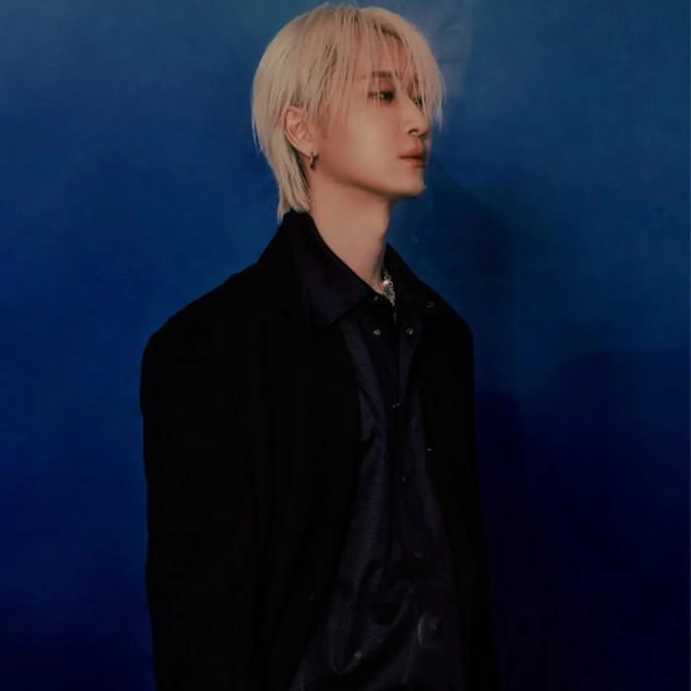 Roydo Brand Page