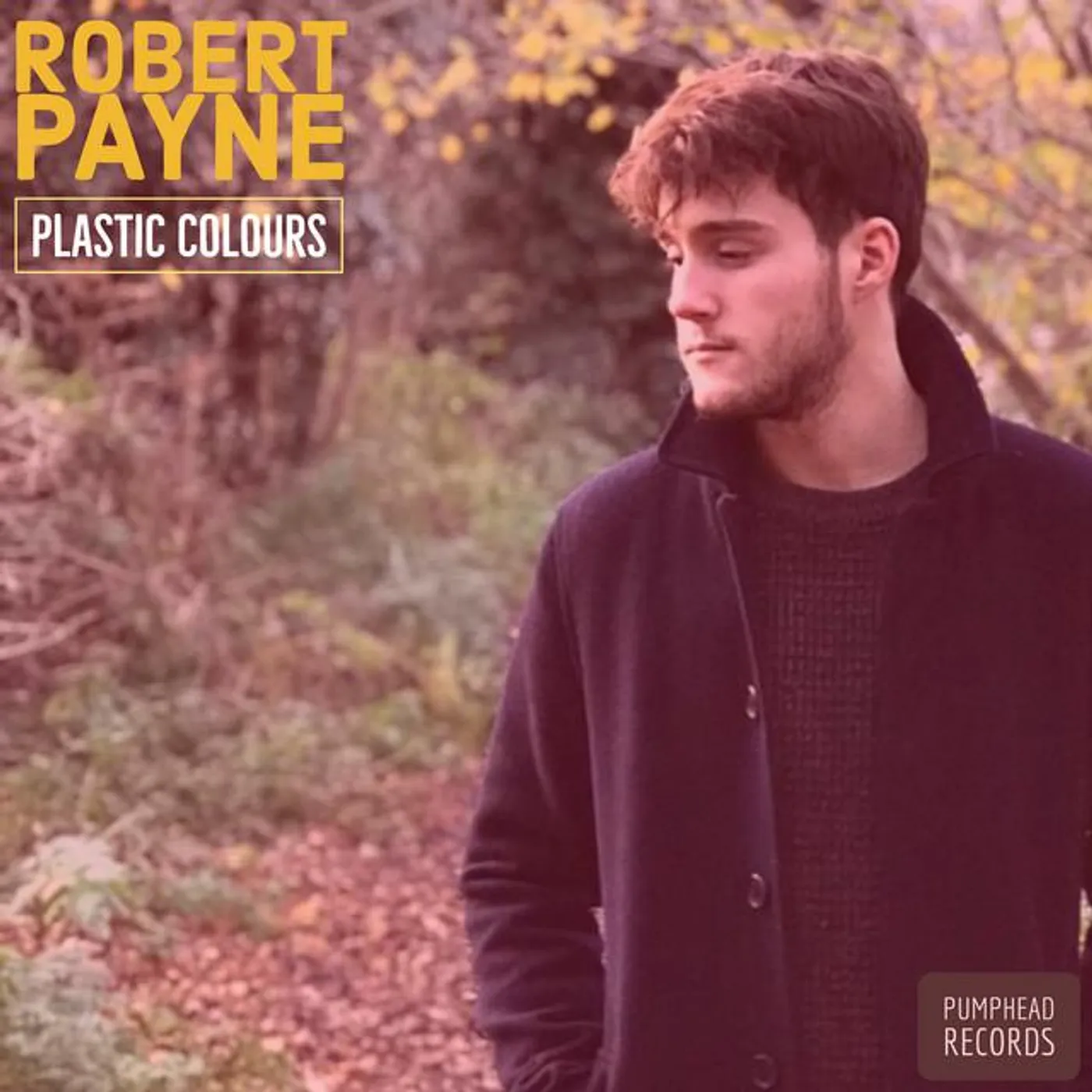 Robert Payne