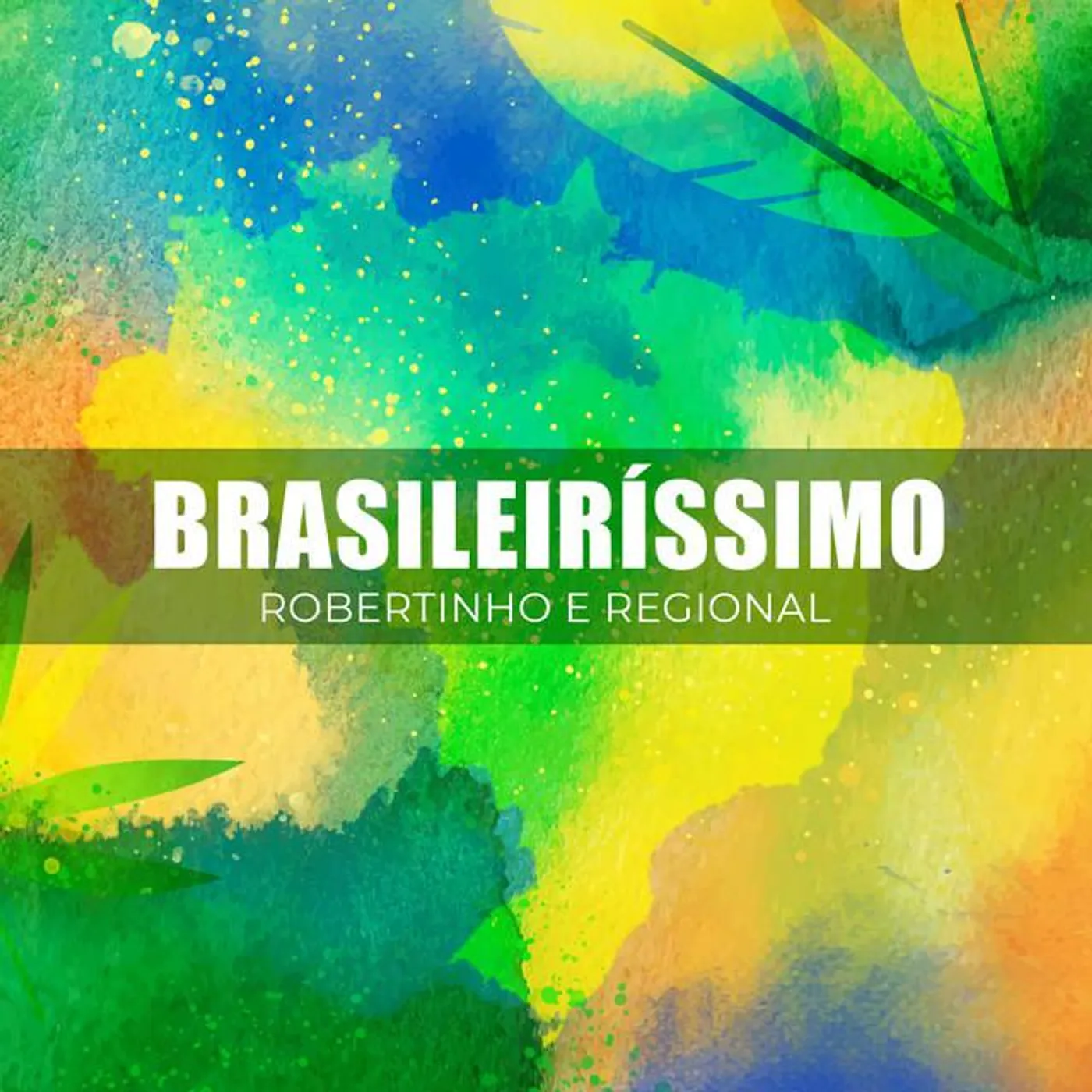 Robertinho e Regional Brand Page