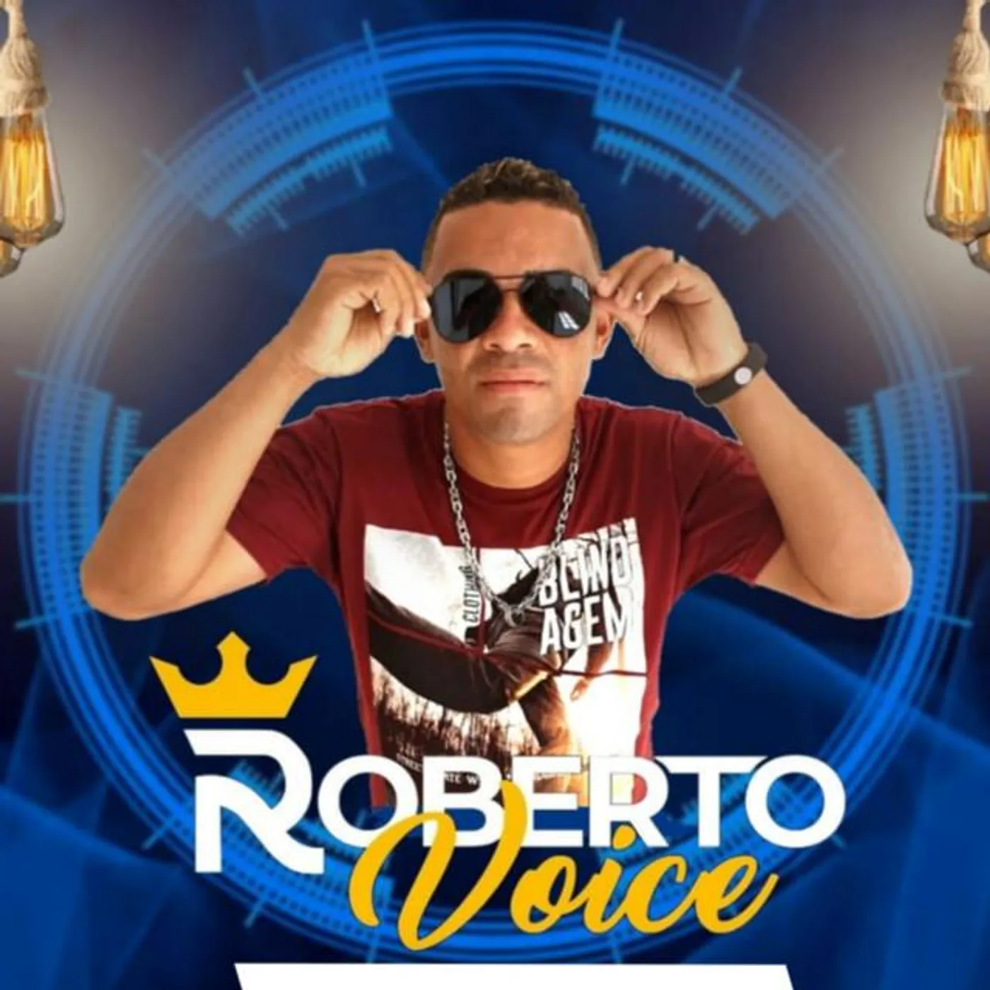Roberto Voice