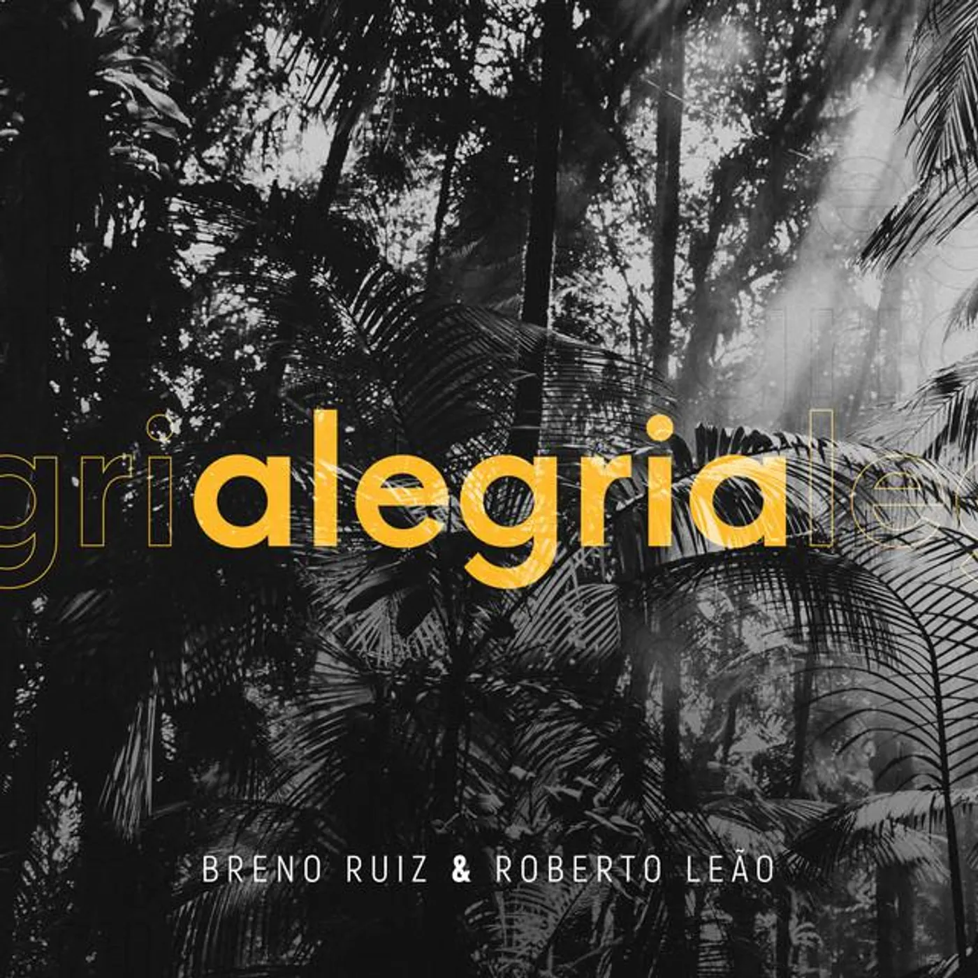 Roberto Leão Brand Page