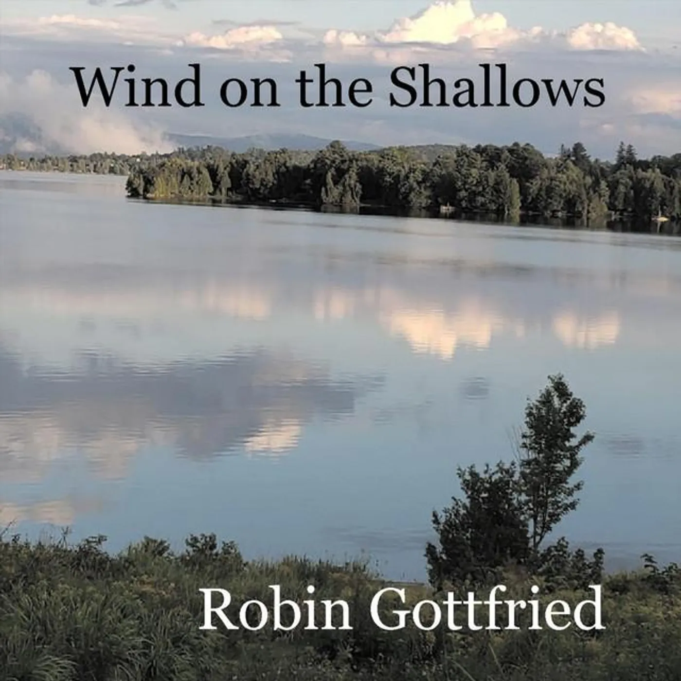 Robin Gottfried