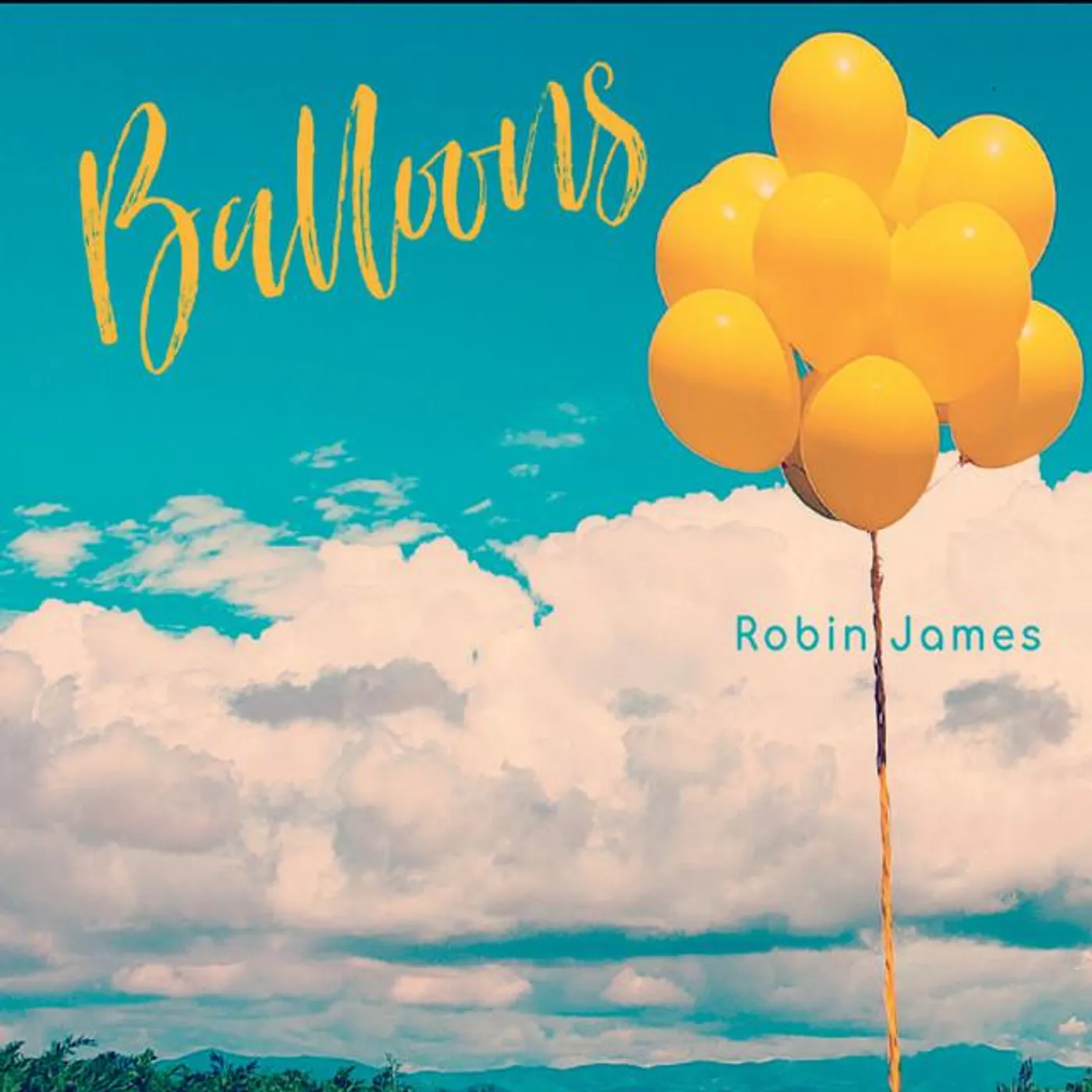 Robin James