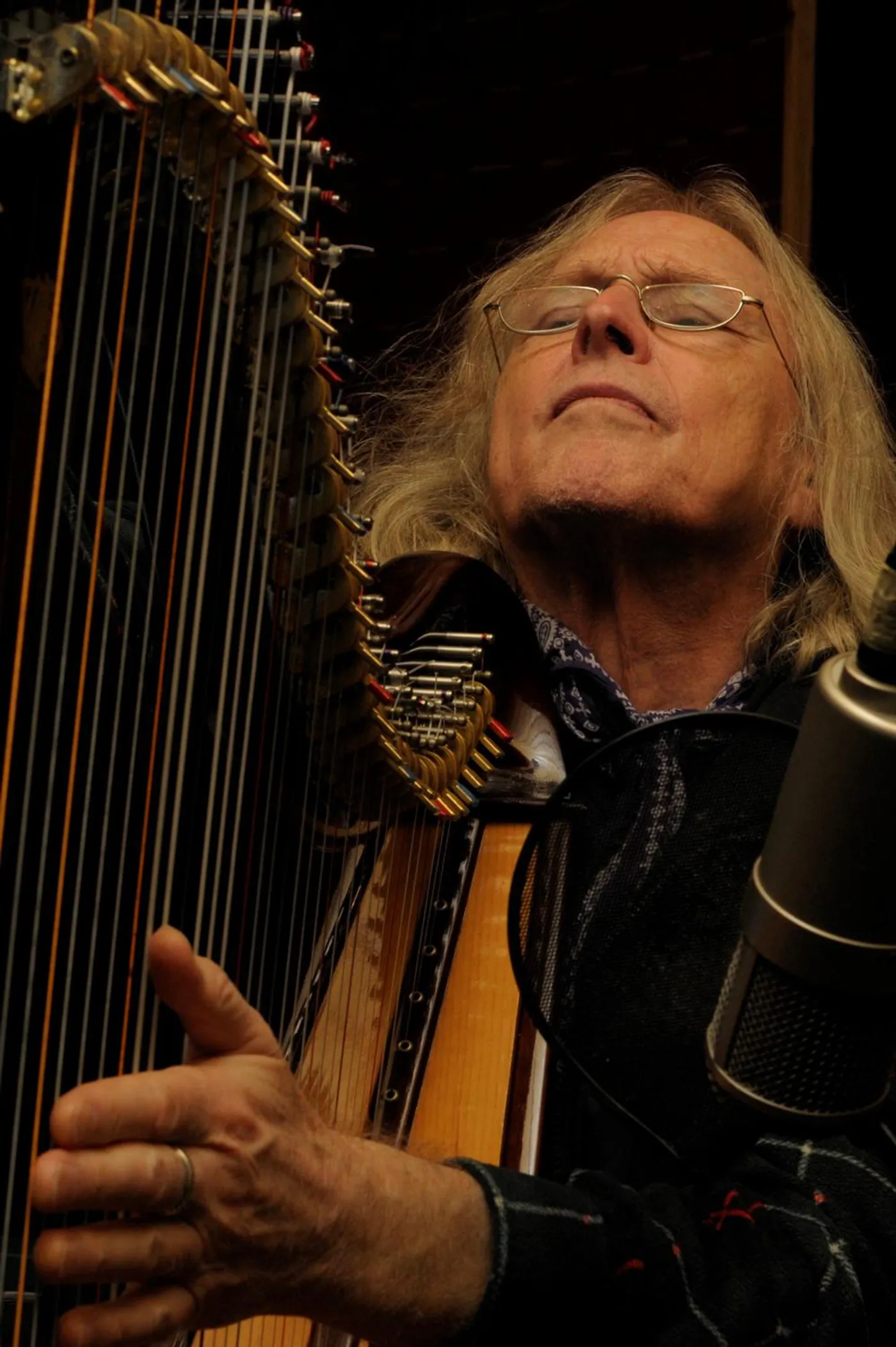 Robin Williamson