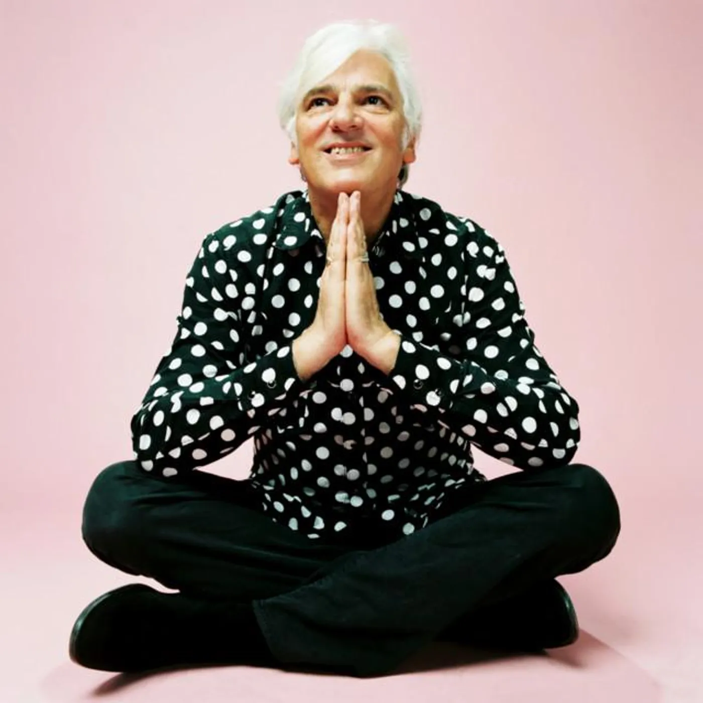 Robyn Hitchcock