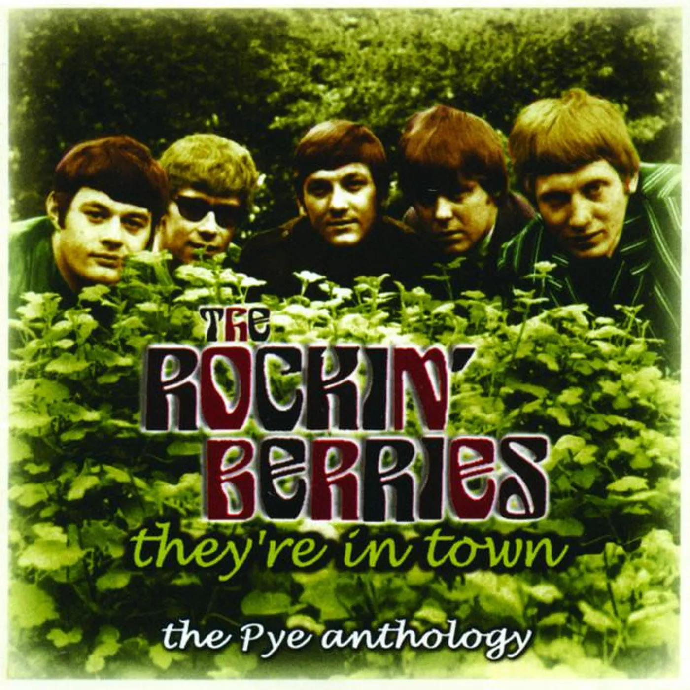 The Rockin' Berries Brand Page