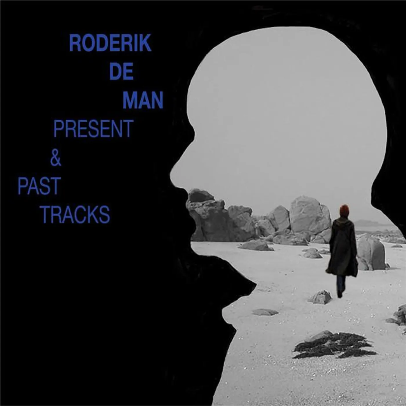 Roderik de Man