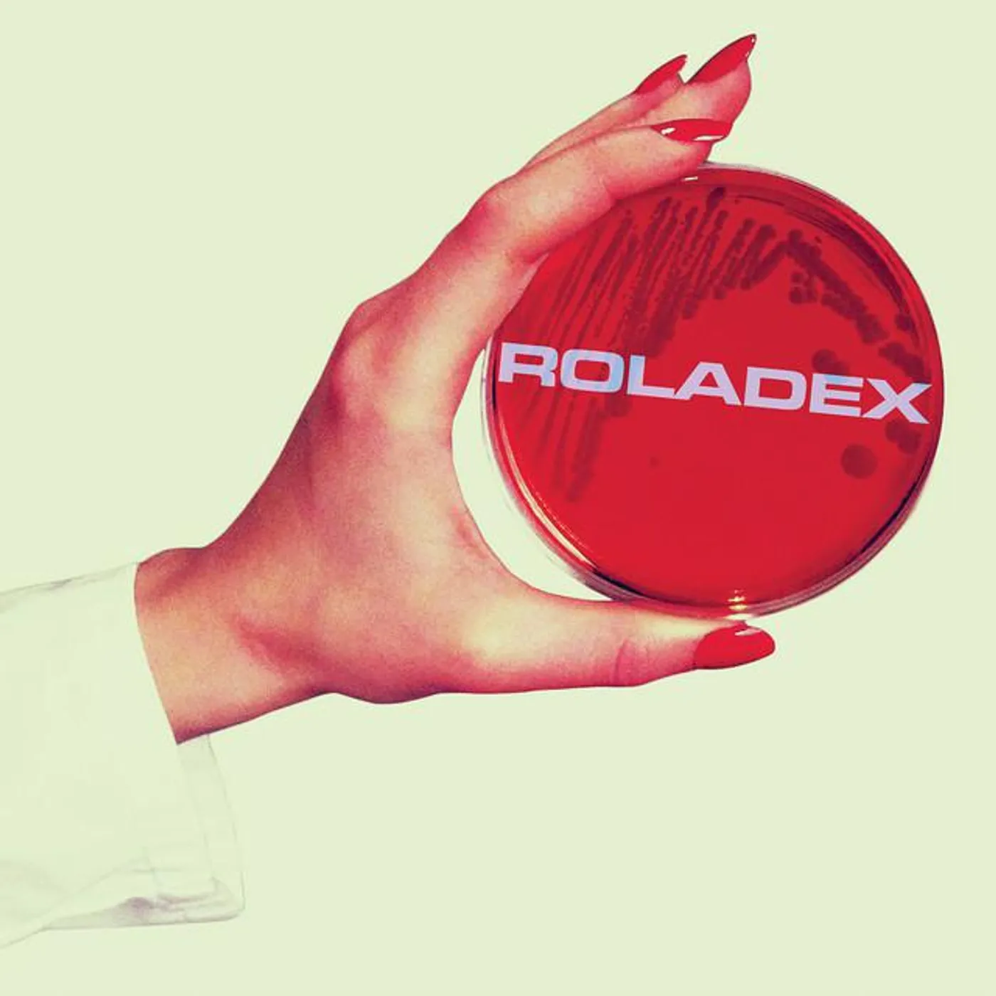 Roladex Brand Page