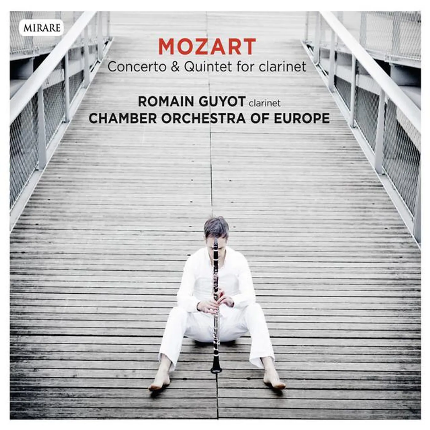Romain Guyot