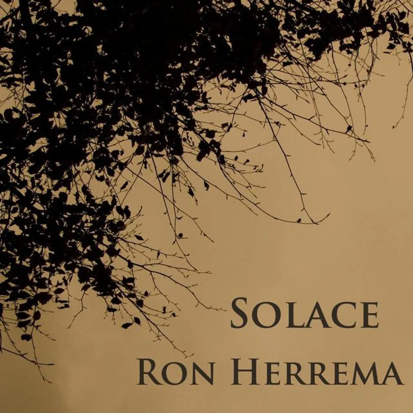 Ron Herrema Brand Page