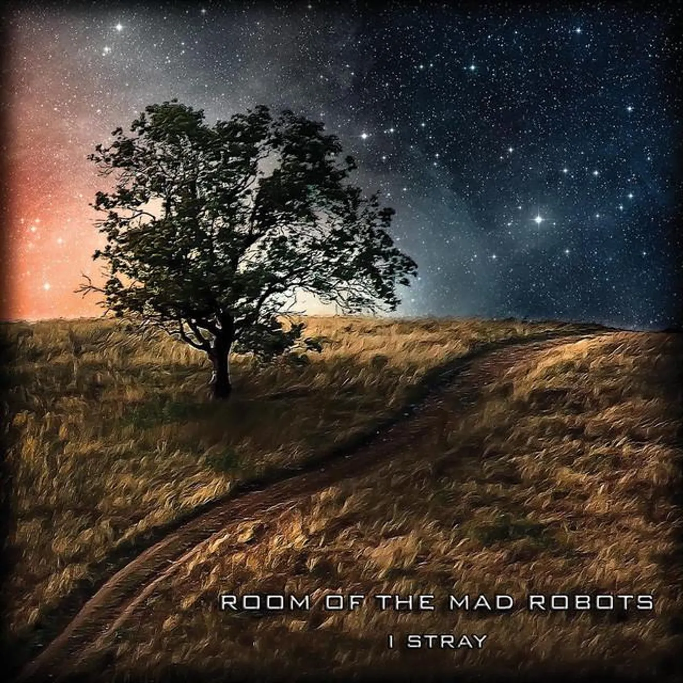 Room of the mad Robots