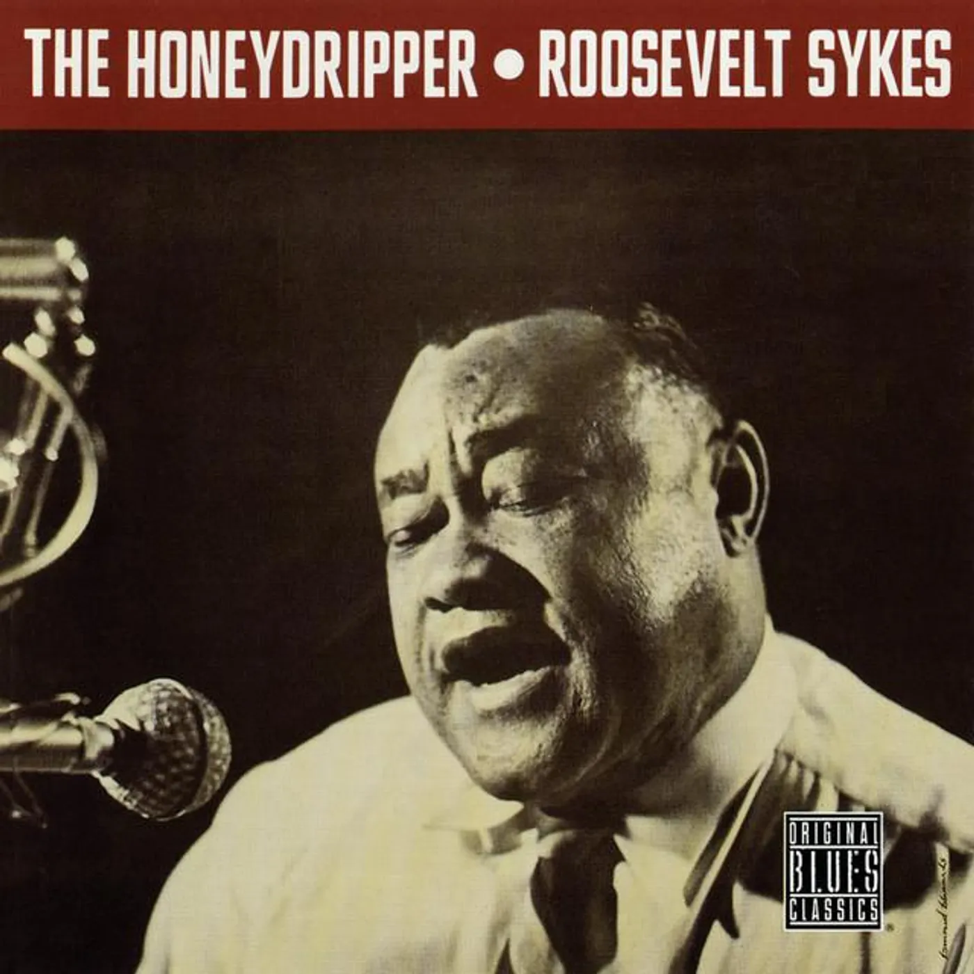 Roosevelt Sykes Brand Page