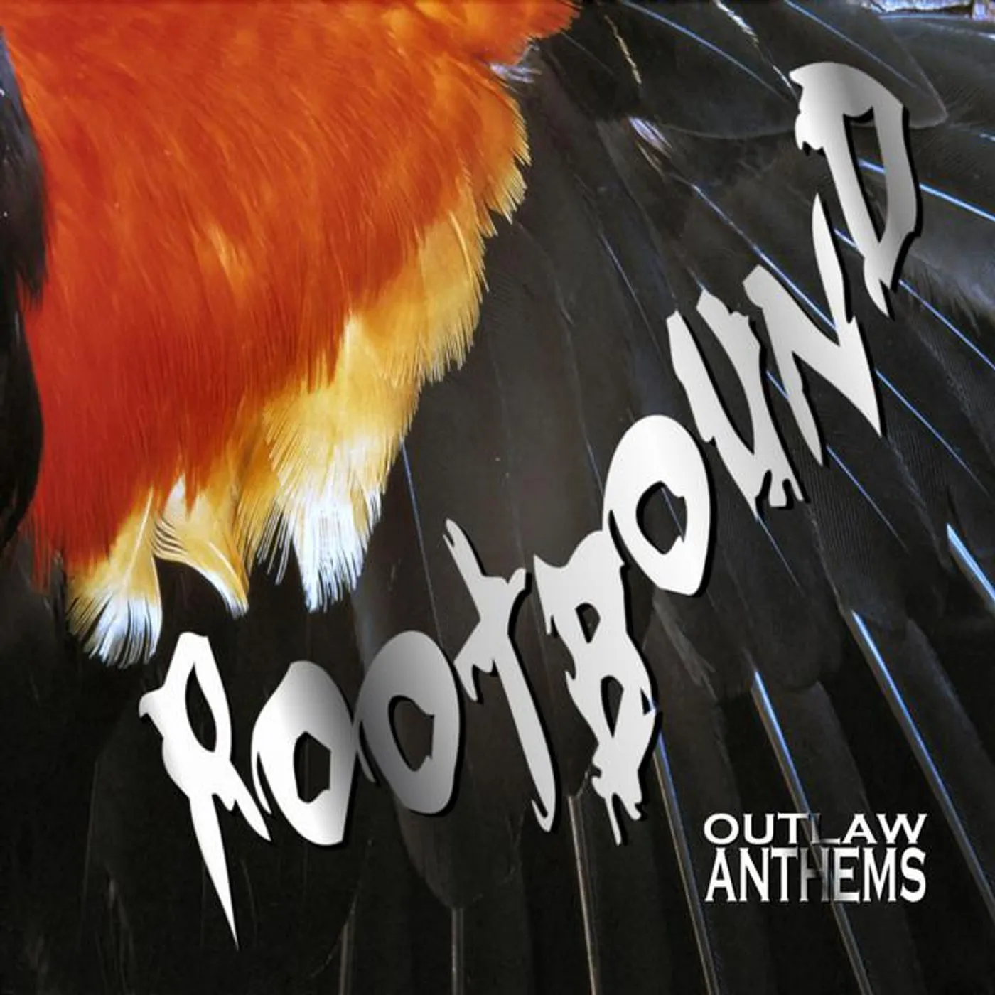Rootbound Brand Page