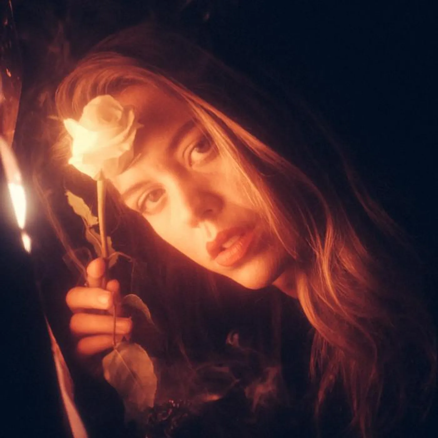 Rose Haze