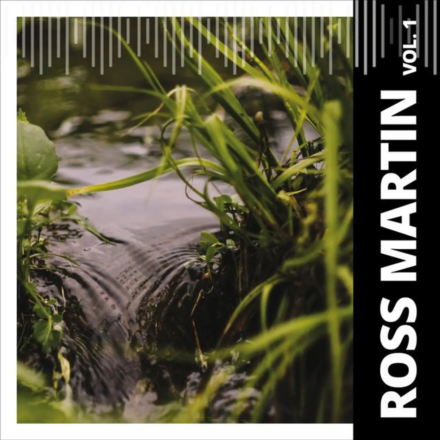 Ross Martin