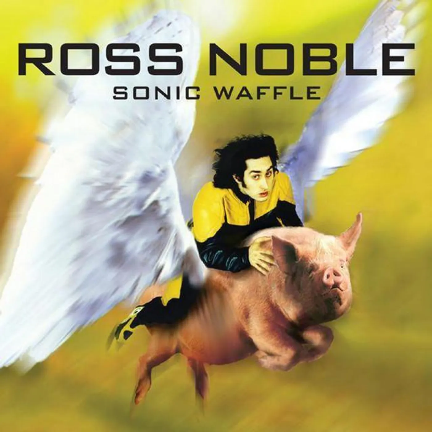 Ross Noble Brand Page