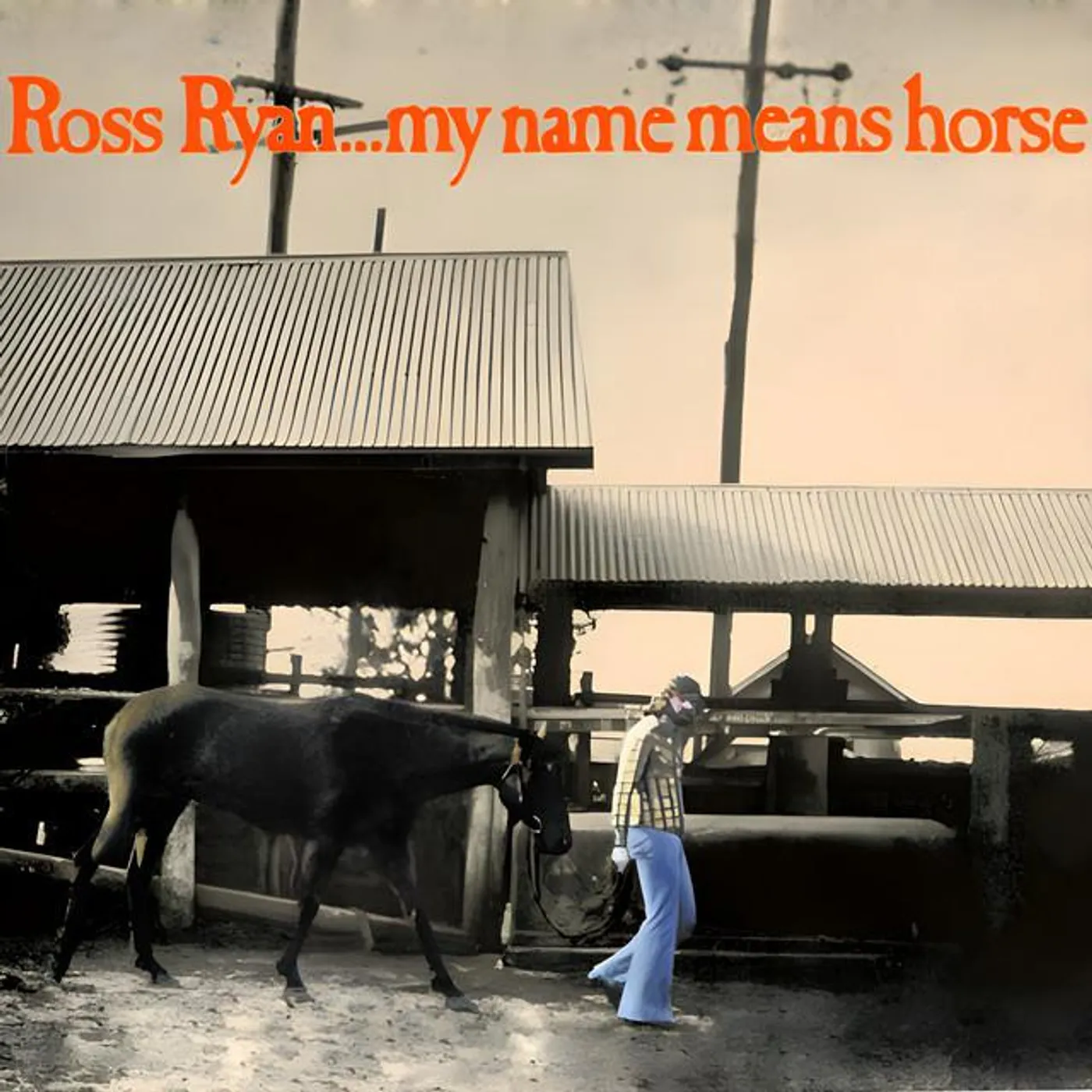 Ross Ryan