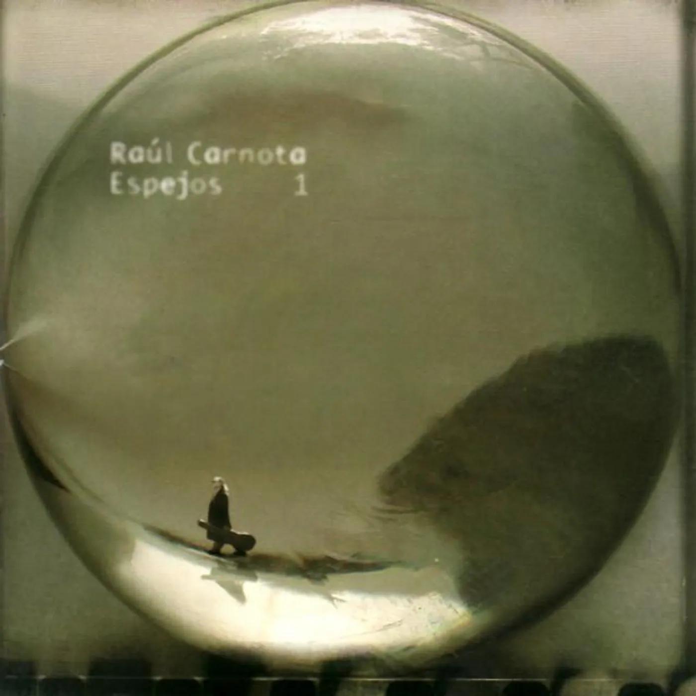 Raúl Carnota