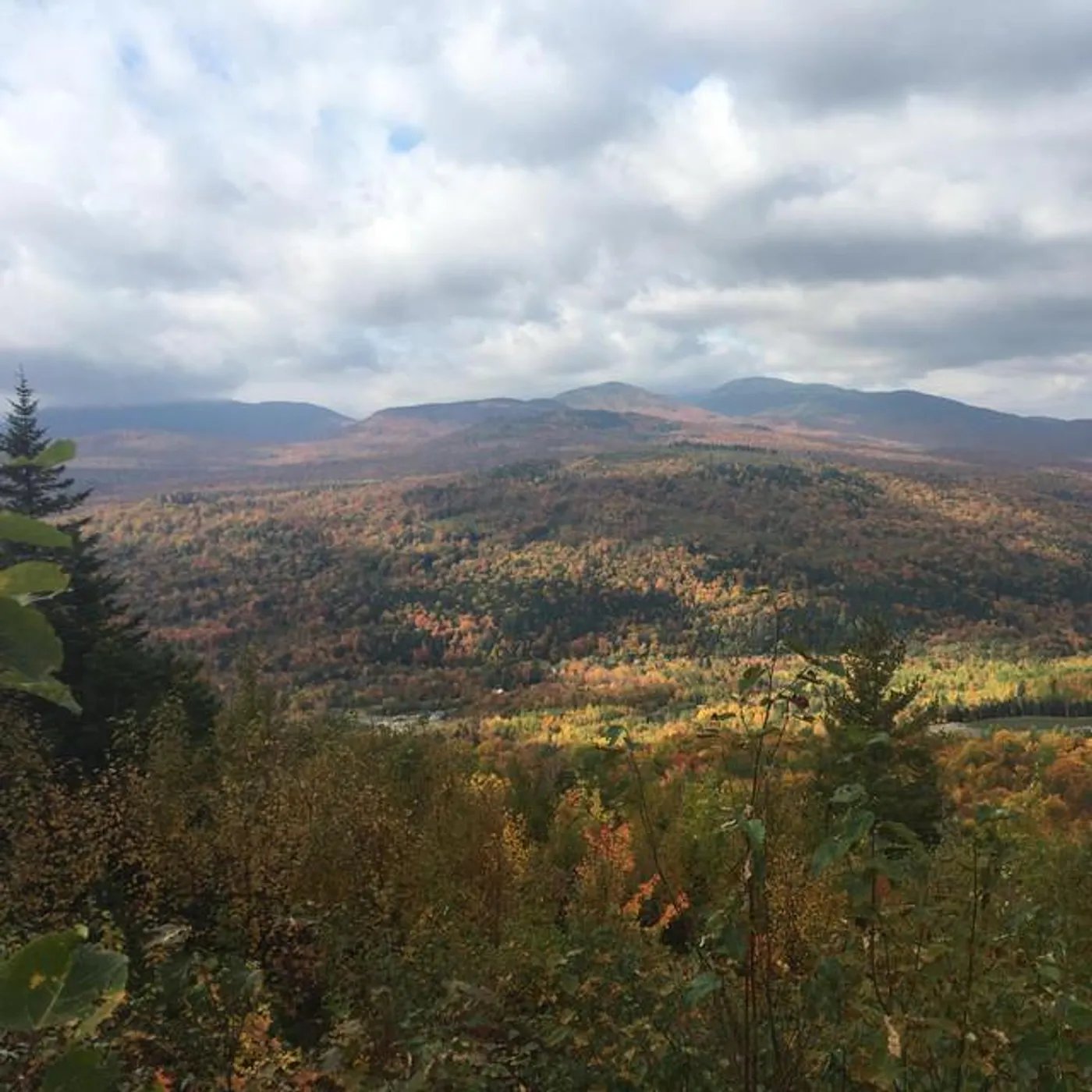 Rat Kid Cool Brand Page