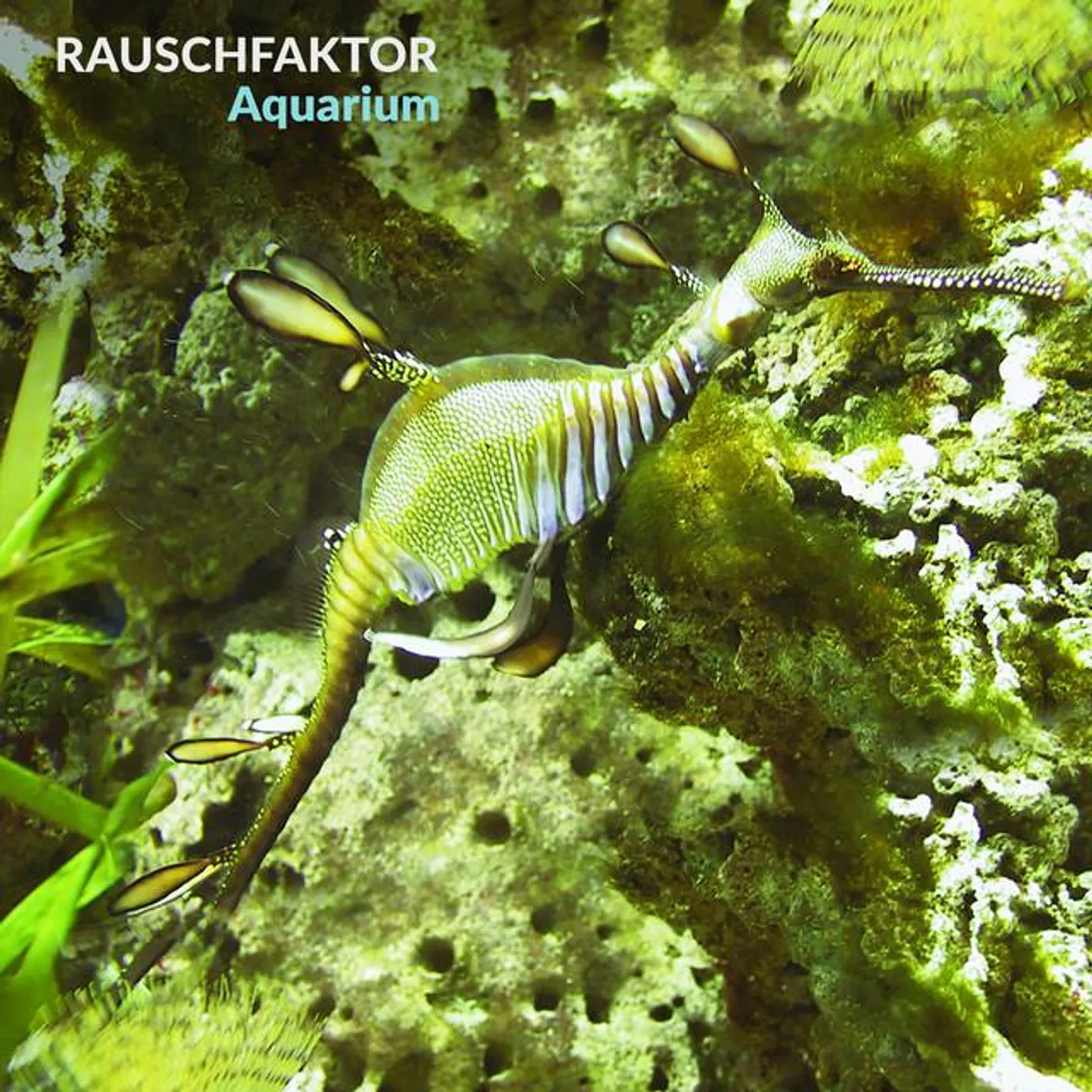 Rauschfaktor