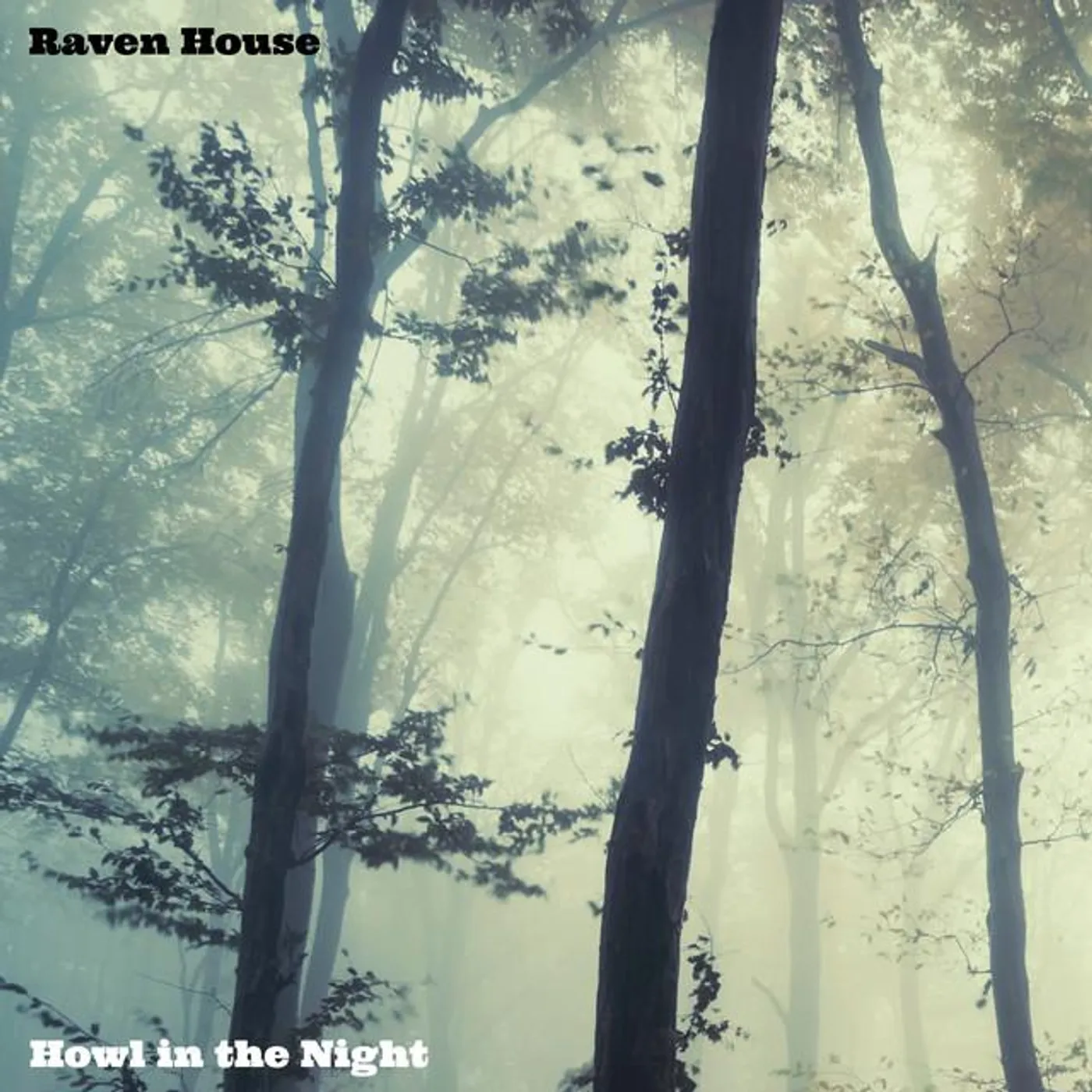 Raven House Brand Page