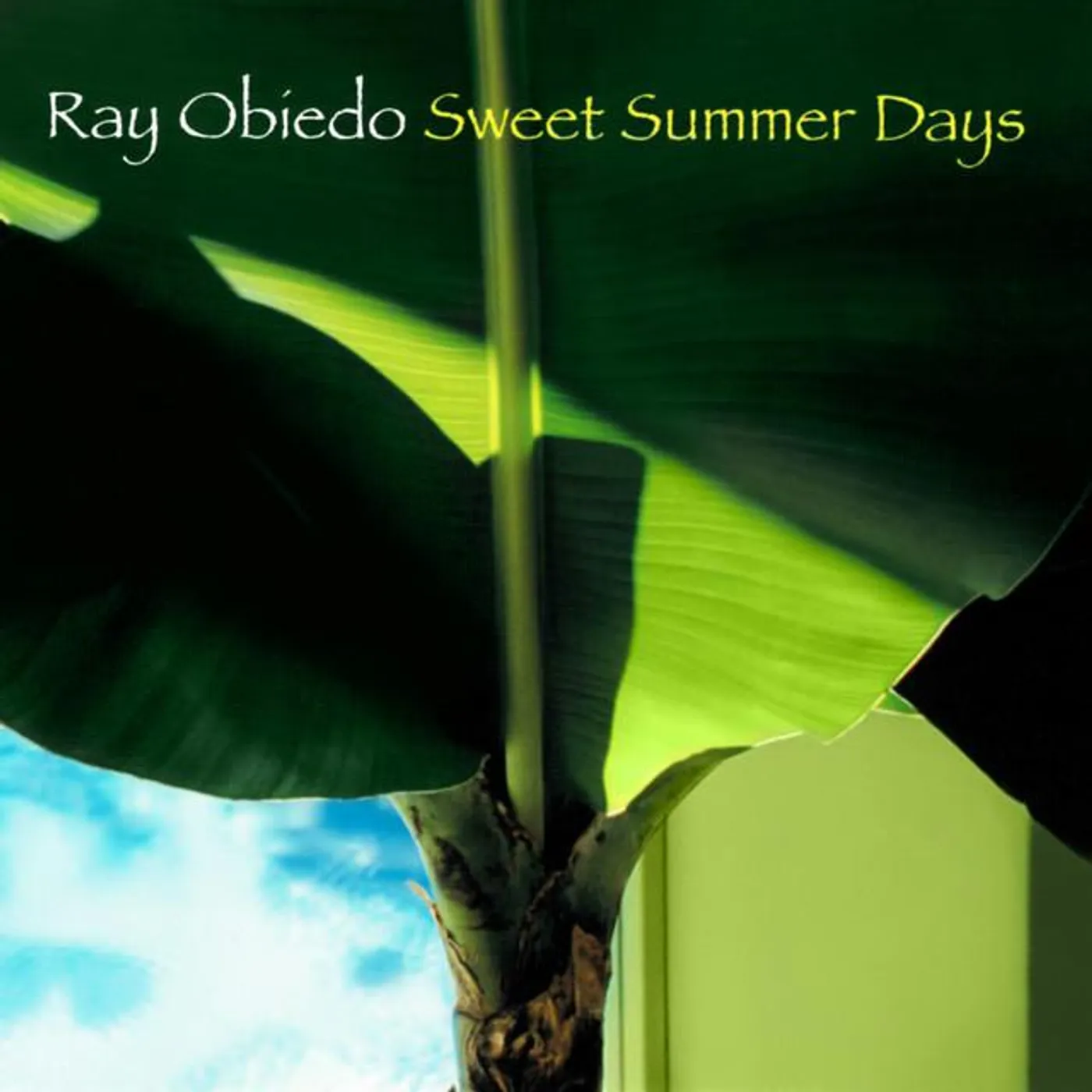 Ray Obiedo Brand Page