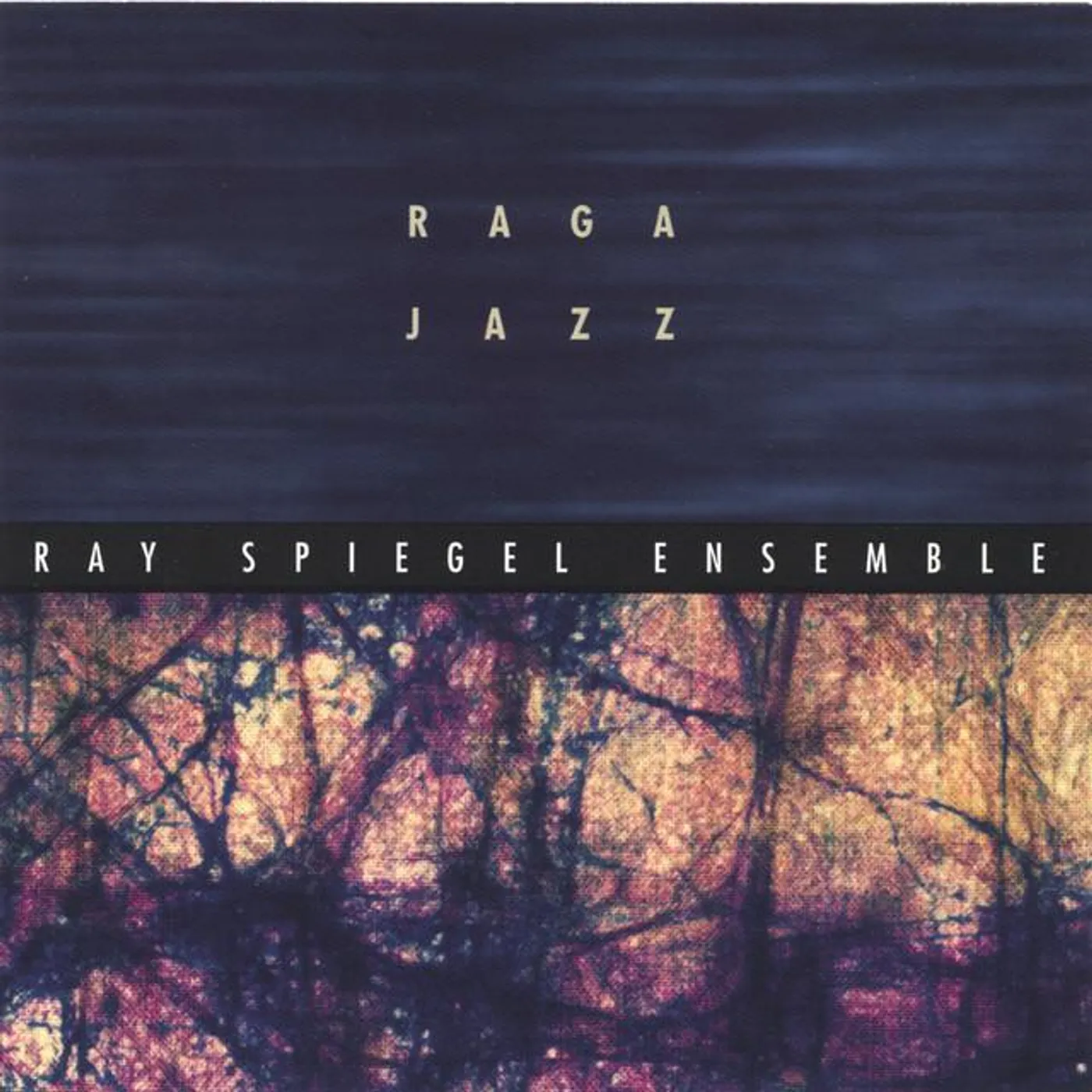 Ray Spiegel
