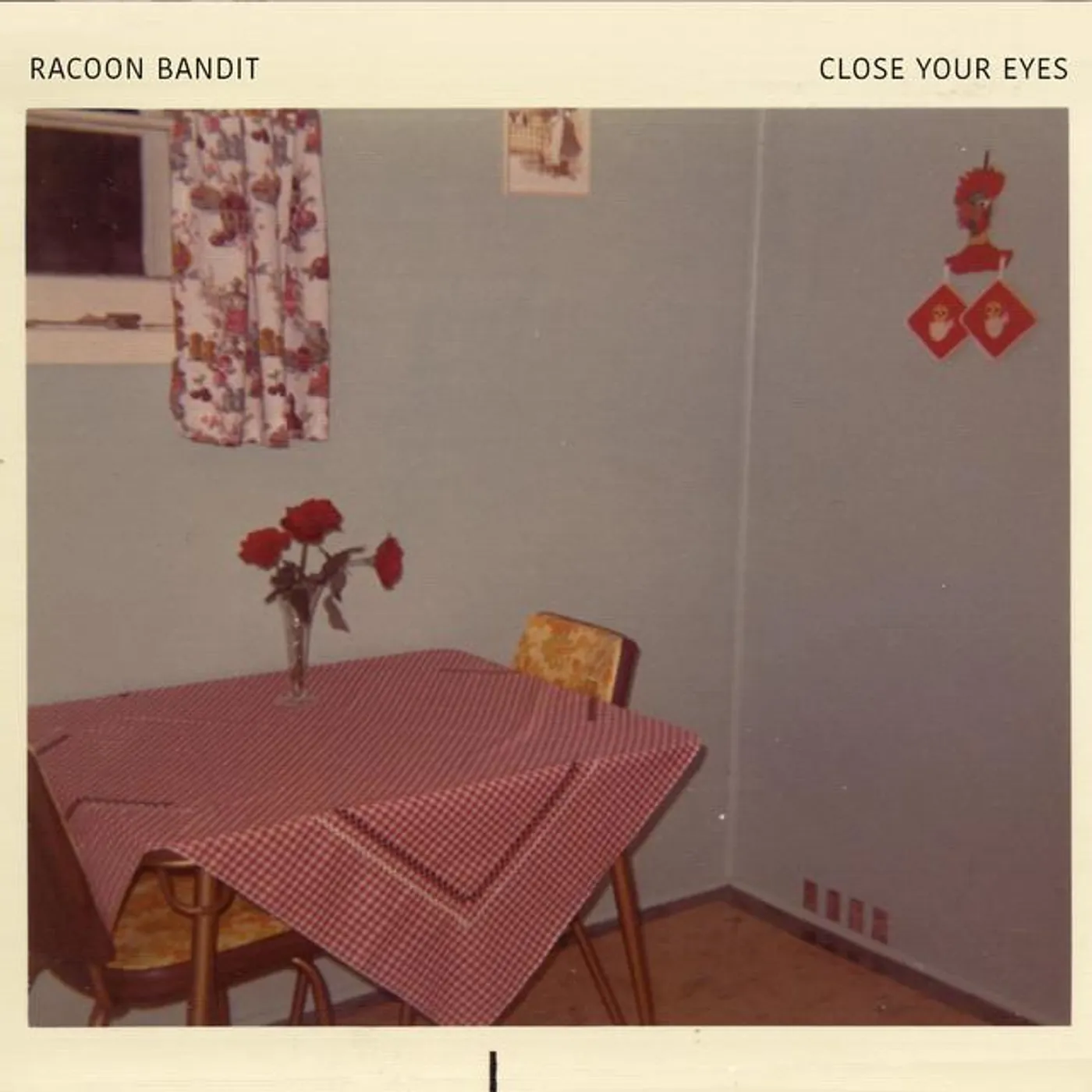 Racoon Bandit