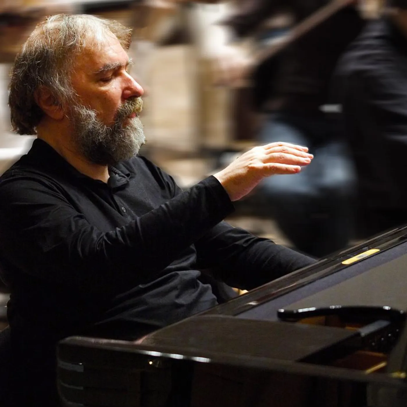 Radu Lupu Brand Page