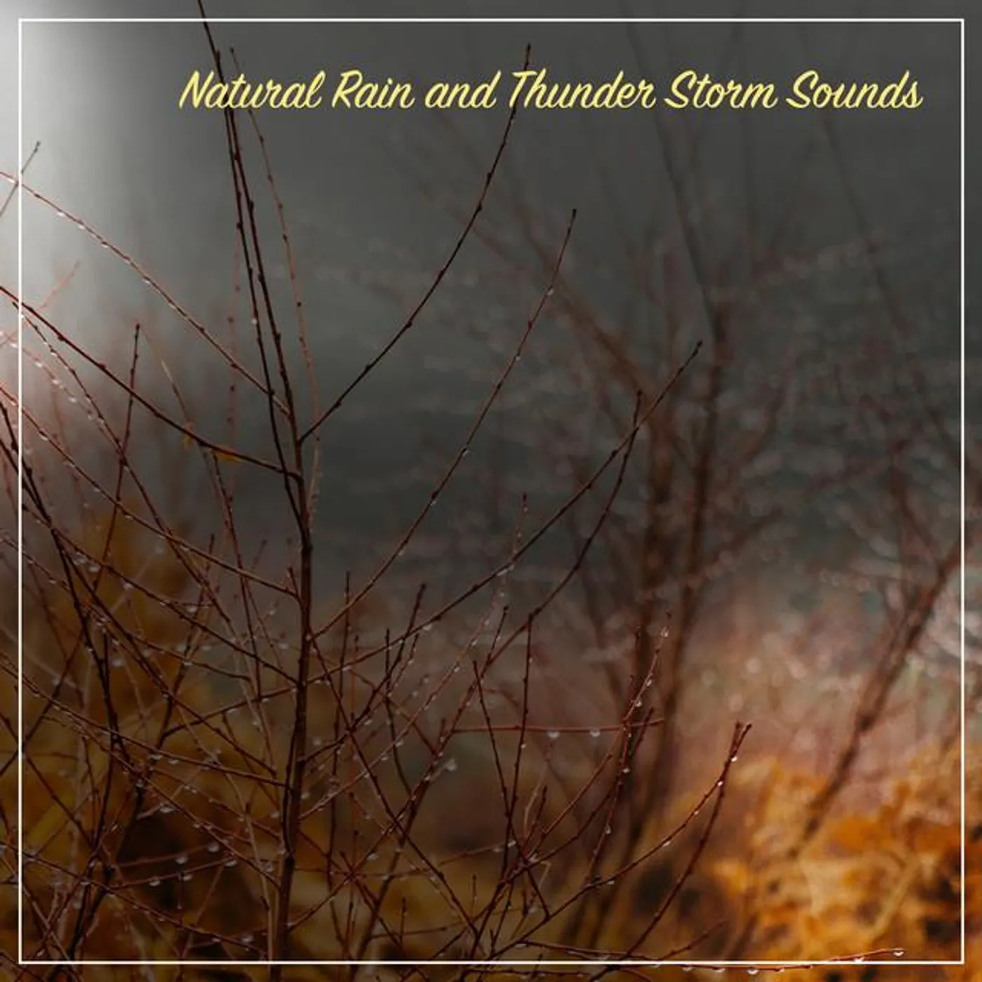 Rain, Thunder and Lightening Storm Sounds