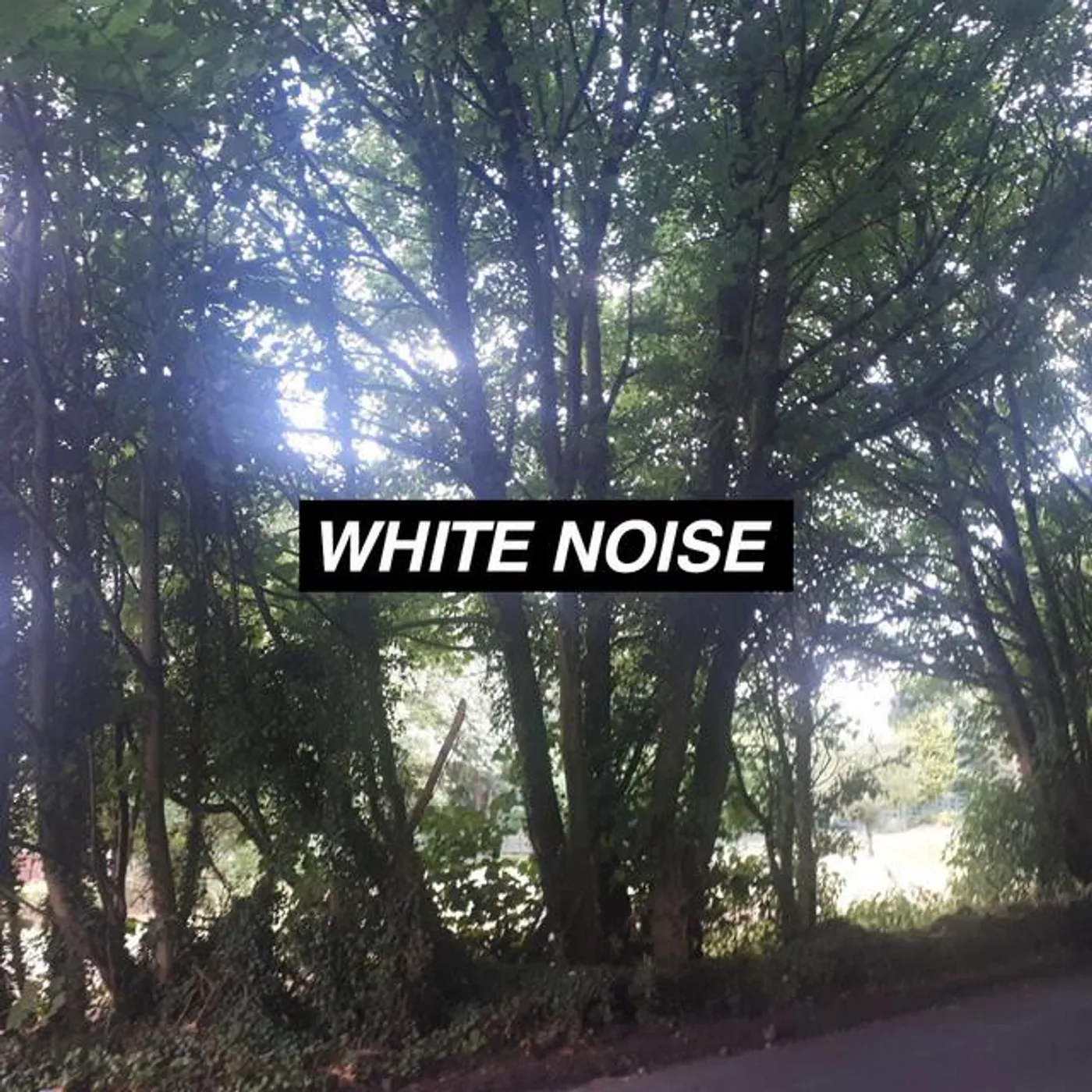 Rain Noise Collectors