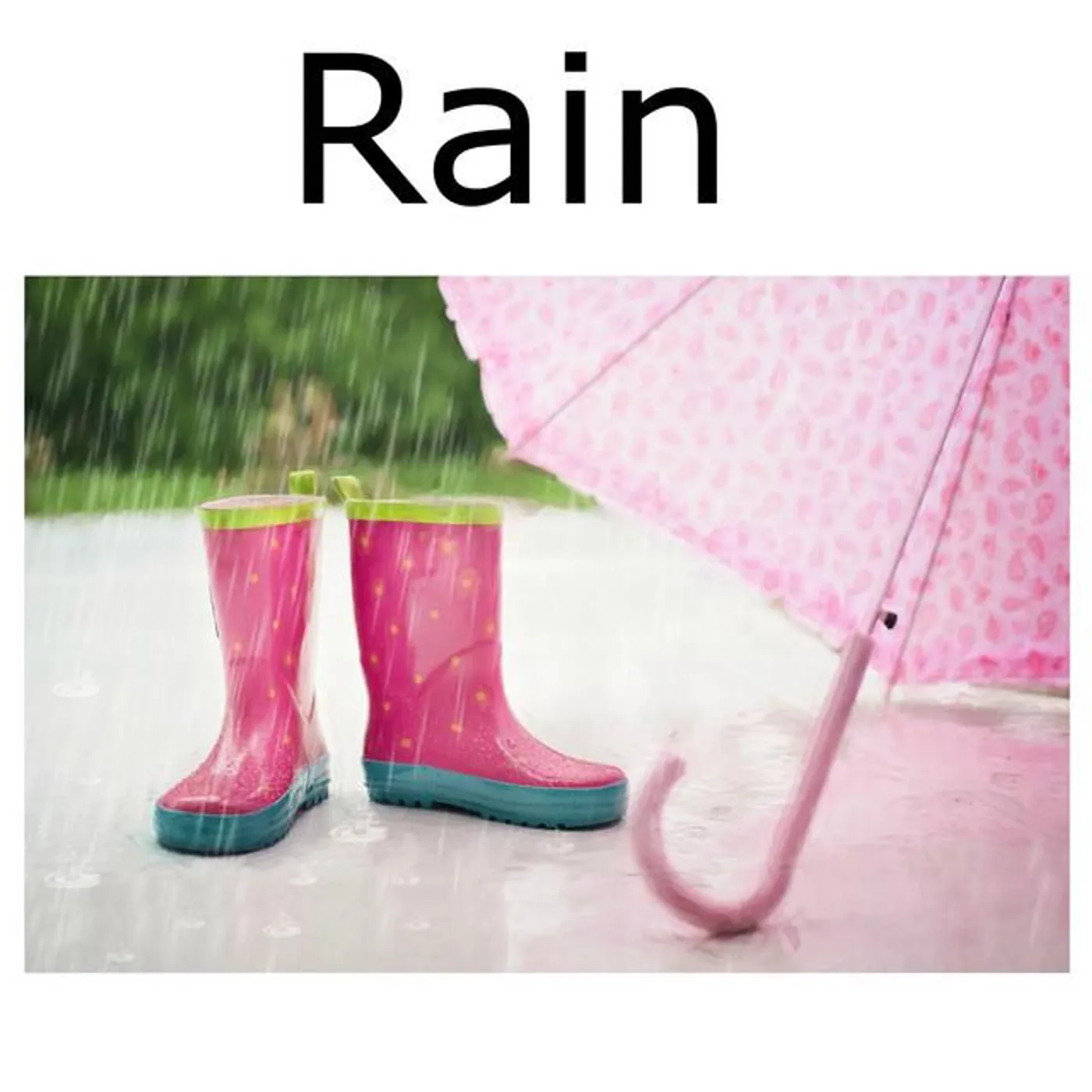 Rain Sounds Dreamer