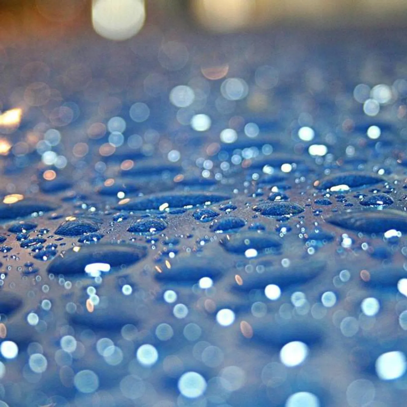 Rain Sounds & White Noise