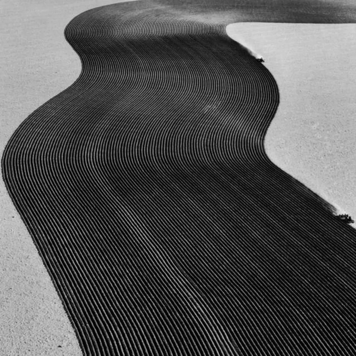 Rainer Veil