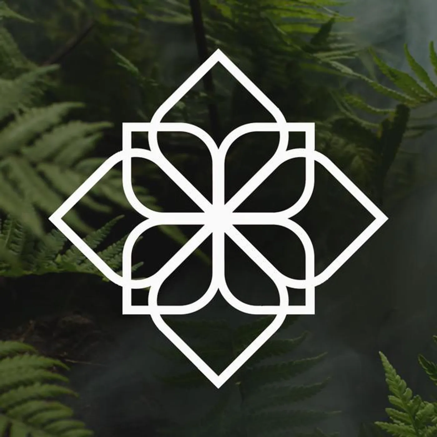 Rainforest Ambience