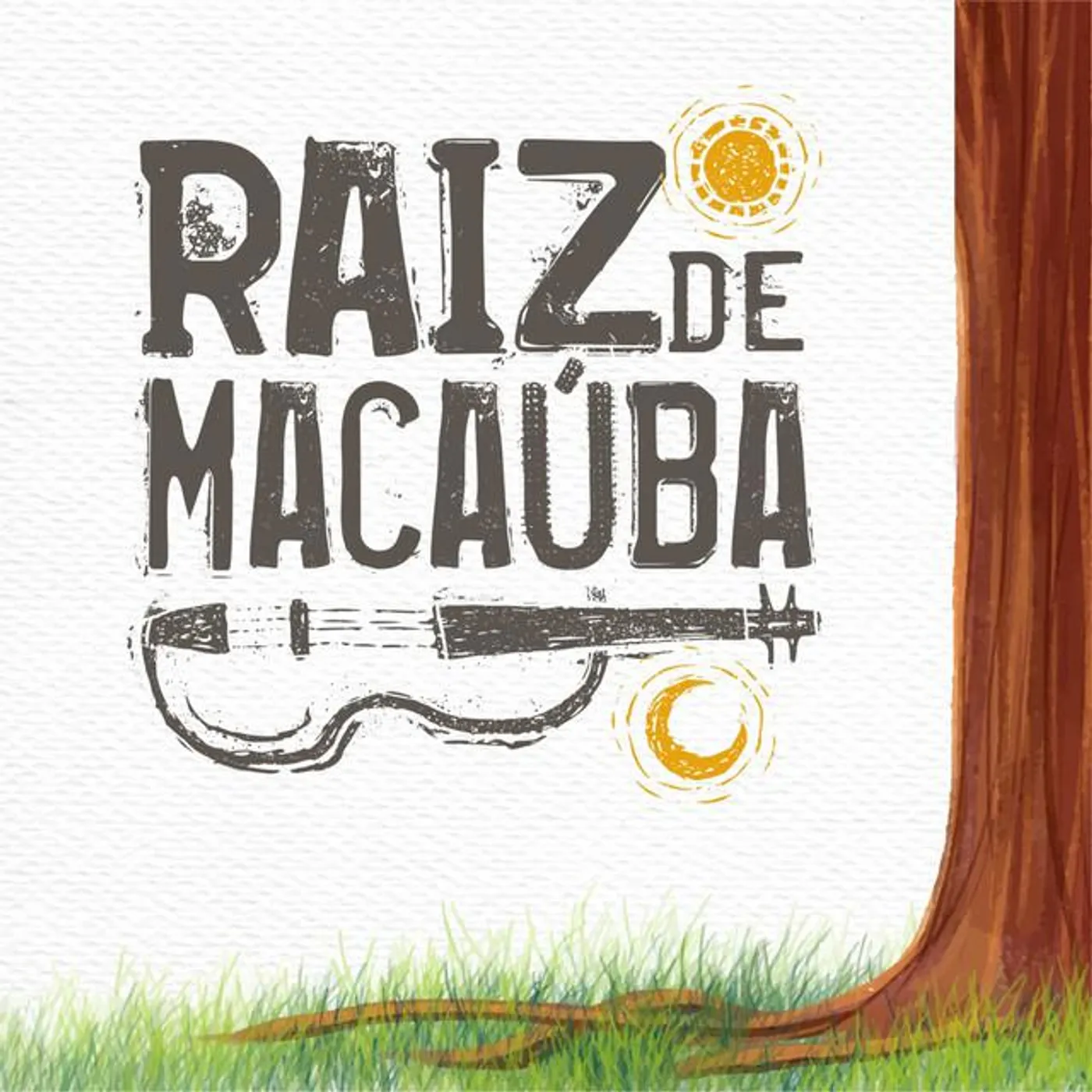 Raiz de Macauba