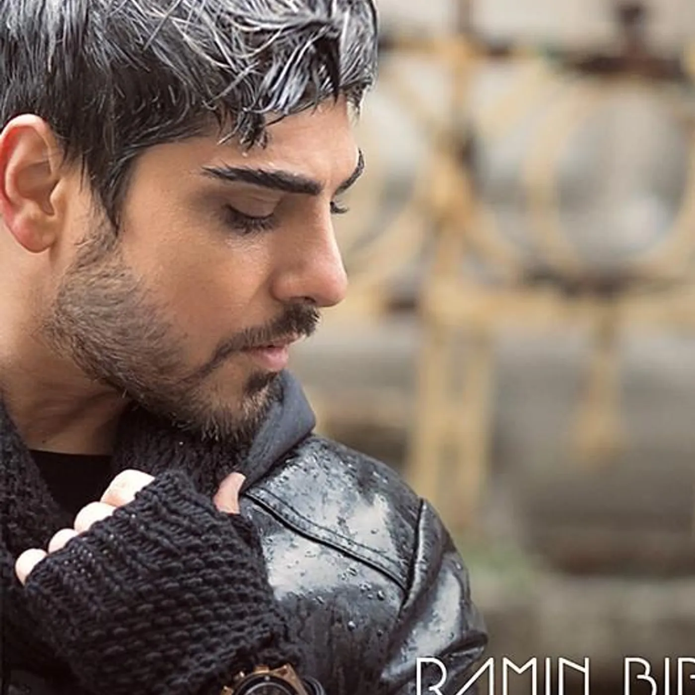 Ramin Bibak