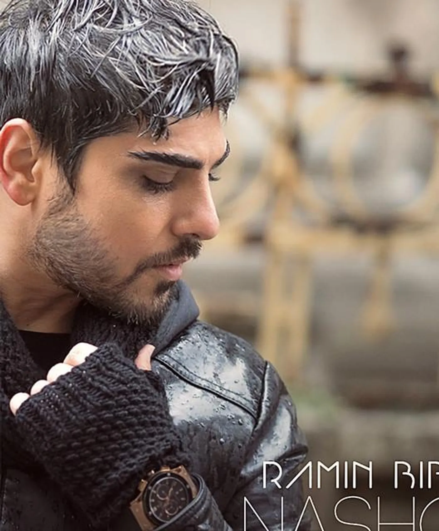 Ramin Bibak