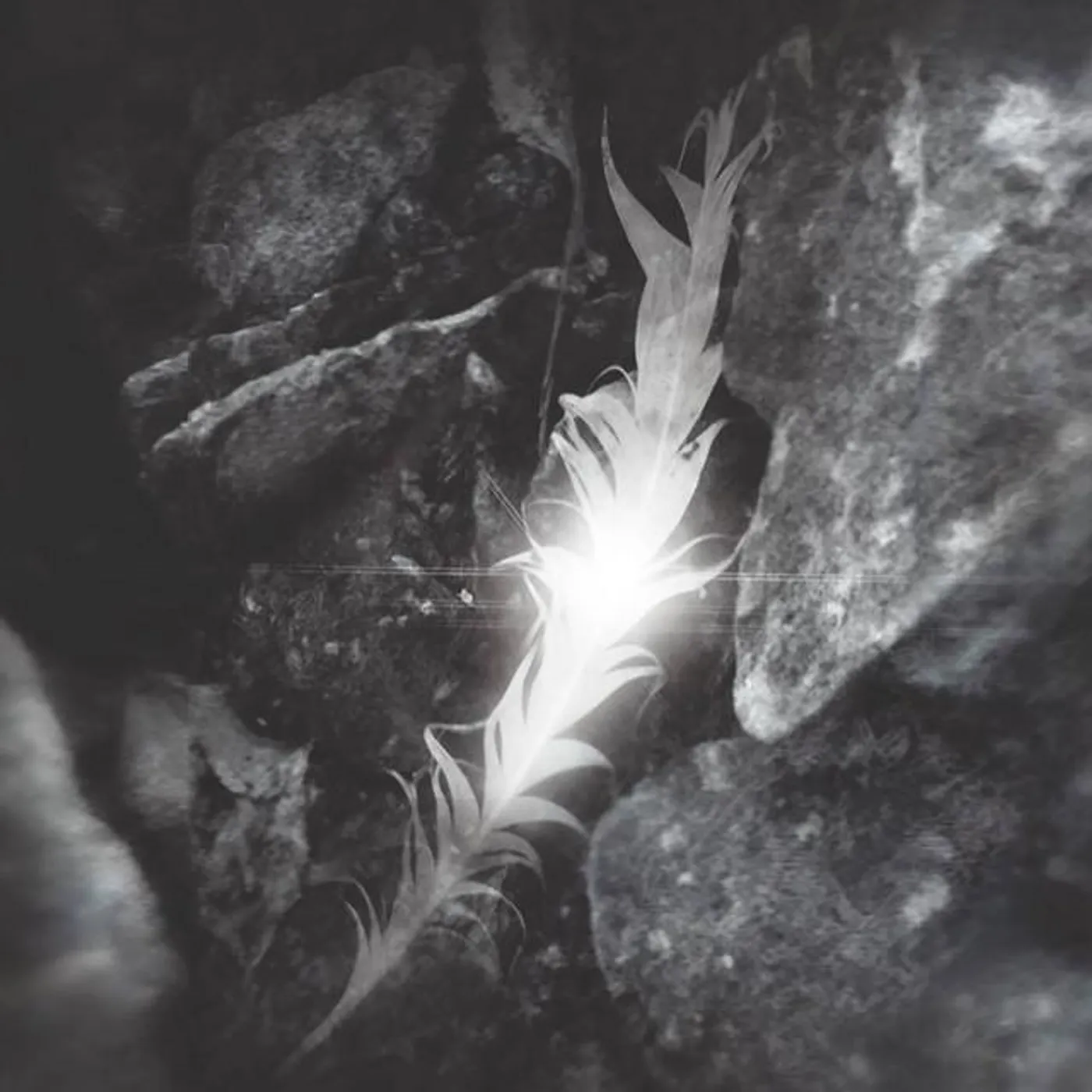Rapture Brand Page