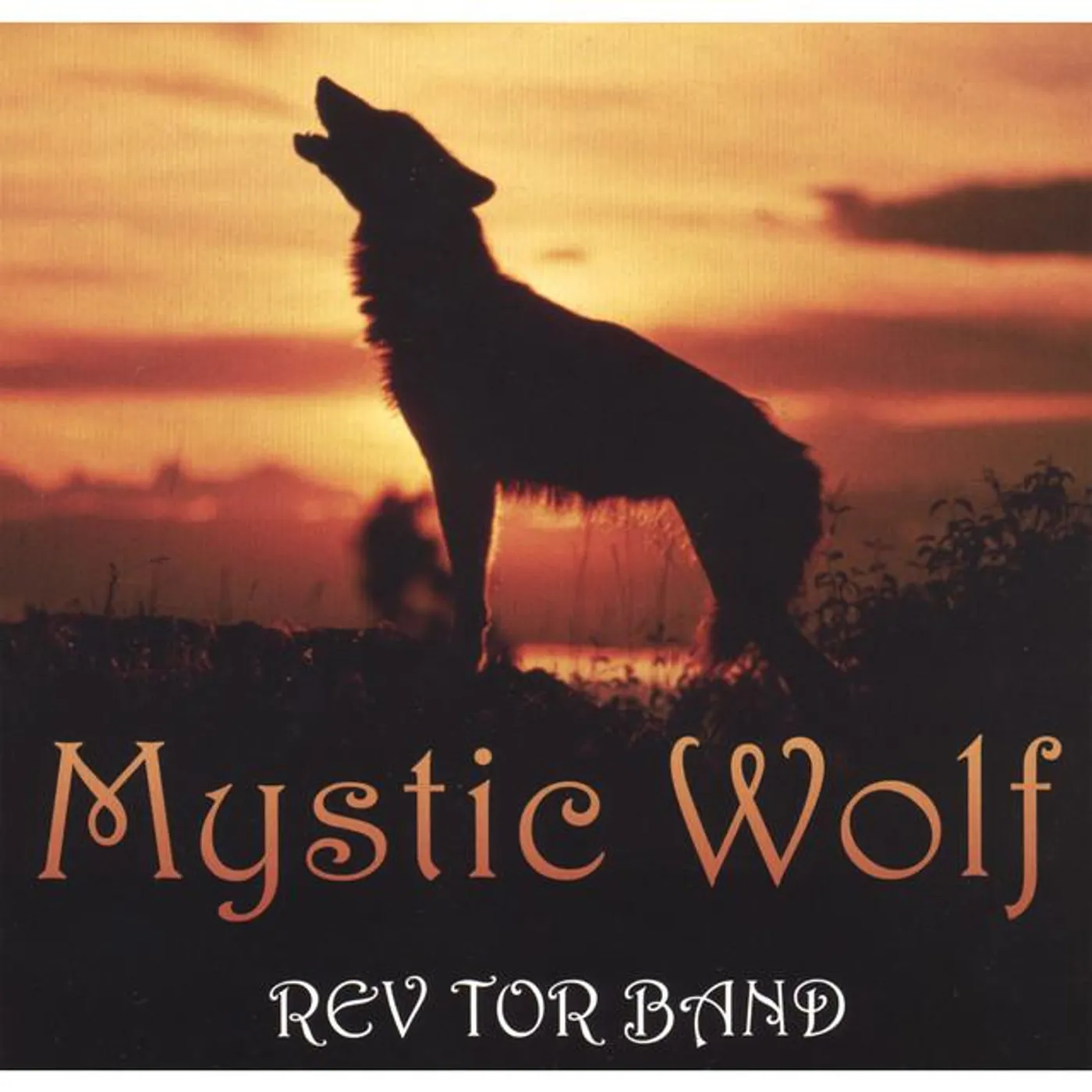 Rev Tor Band Brand Page