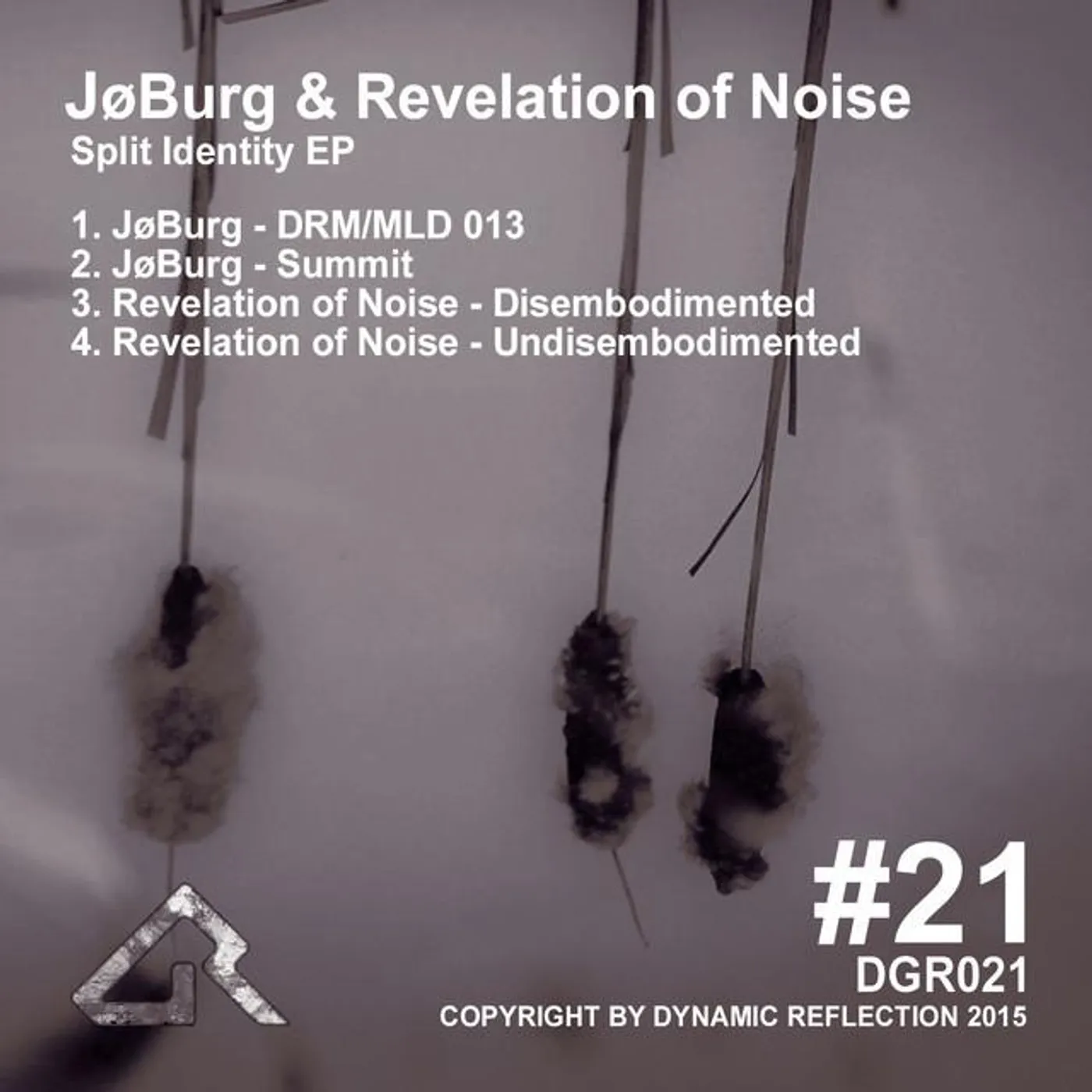 Revelation Of Noise